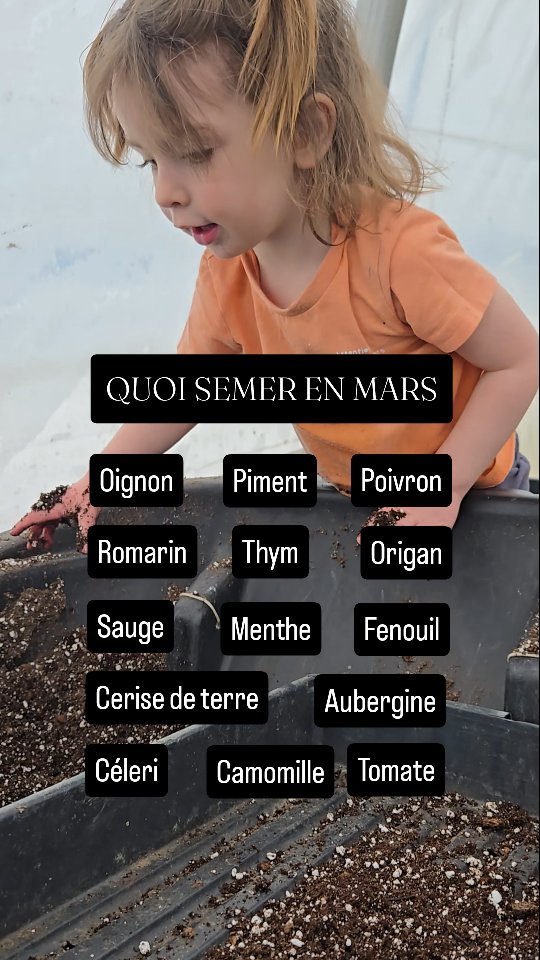 🌱 C’est presque le temps de semer…
Les plateaux se préparent, les graines sont prêtes… et la saison 2026 commence à prendre vie 💚
📅 Notre calendrier de production (MARS) est maintenant en ligne sur notre site web pour vous guider dans vos semis.
Que vous ayez une serre, un rebord de fenêtre ou un grand jardin… c’est le moment de rêver en vert!
👉 Lien en bio ou https://www.fermeentrecieletterre.com/post/calendrier-de-mars
#Semis2026 #JardinageQuébec #FermeEntreCielEtTerre #CultiverLocal #PrintempsQuiArrive