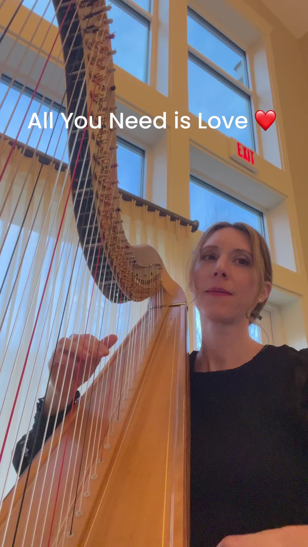 All you need is love 💛
A little Beatles magic on the harp.
#AllYouNeedIsLove #TheBeatles #Harpist #PopOnHarp #PedalHarp #WeddingMusic #ColumbusHarpist #LiveMusic