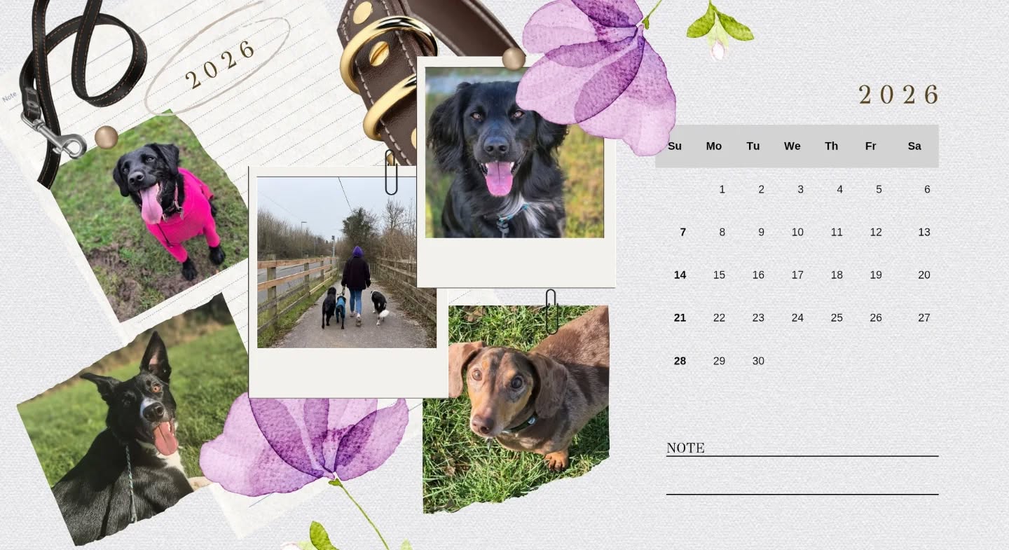 If your dog has selective hearing…
Thinks recall is optional…
Or believes squirrels must be chased at all costs…
Good news — my 2026 training diary is now open. 🐾
Let’s make next year the year your dog becomes your favourite walking partner again.
#2026calender #takingbookings #takingbookingsnow #calenderopen #dogtrainingisfun