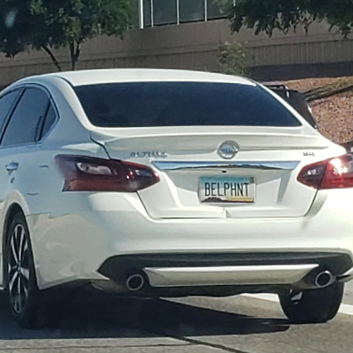 My answered prayers.
.
In 2021, I got an incredible offer to move to STL and work for 1st Phorm. I love the brand because of the mission and the culture, and it would have been close to a "dream job" at the time because of that.
.
At the same time, I had finished my last pro contract as a soccer player a few months earlier, and I had just started planting seeds in AZ for my own brand and business, Acosta Fitness.
.
So I had to decide between the two.
.
Money, benefits, stability and everything else aside, I really just wanted to know which path to take to truly align with my life's purpose, and where God can use me the most during my time on Earth.
.
After pros/cons lists, long debates with my closest people, and praying on it for a week, I had a LONG conversation with my close friend and sports psychologist from when I played, @bigdyman
.
At the end, he told me: You're dead in the middle of the fence...you believe in God, spirit guides, and metaphysics...NOW is the time to ask for help. Ask for a sign...but it has to be something crazy that you wouldn't normally see...like a blue or a red elephant.
.
So the next morning, at the end of my morning prayer, I prayed out loud: "God, guardian angels, spirit guides...I don't need to know the full plan, I just need to know which direction to go to best serve my life's purpose. If I'm meant to stay the route of my business and what I'm building, today show me a blue elephant. If I'm meant to go the route of 1st Phorm, show me a red elephant."
.
An hour later as I drove to my side job (for a moving company), this car came racing by me on my left, pulled in front of me for a few seconds, and then kept going and exited the highway. (Pic 1).
.
.
And the crazy thing is, it didn't stop there. The Blue Elephant has shown up 4 other times in big moments of "which direction should I go", after I've asked for them in prayer, including my opportunity here in California. (Pic 2)
.
I don't know where this path is leading...but I walk by faith and not by sight.
.
And I'm so grateful for everyone and everything that has come my way because of it🙏🏼
.
Open your heart to God.
.
He's listening.
.
.
#faith #God