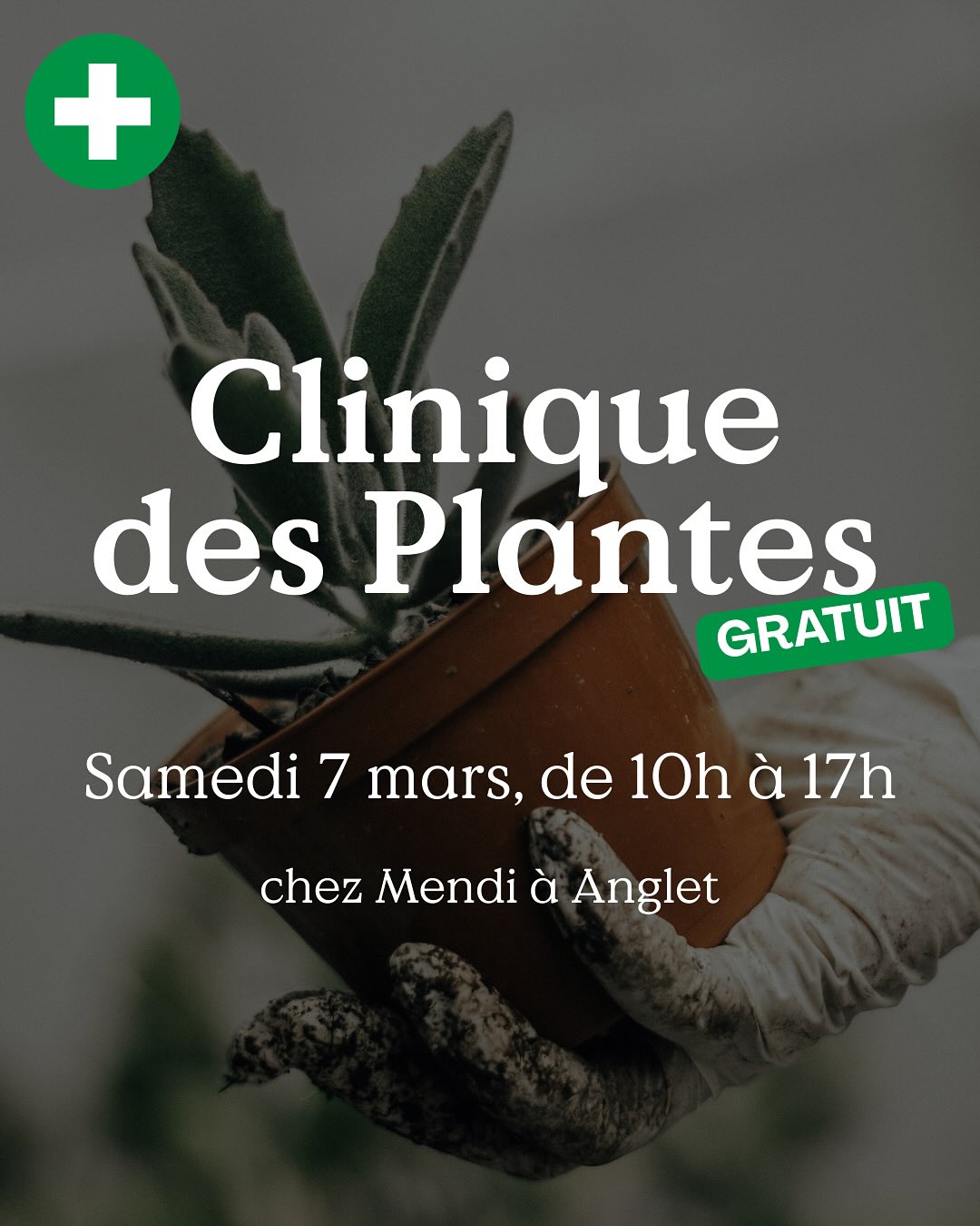 La Clinique des Plantes fait son grand retour !💚
Rendez-vous le samedi 7 mars, de 10h à 17h chez Mendi, pour une journée 100% plante 🪴
Au programme :
🌱 Des stands conseils (arrosage, engrais, taille, rempotage, etc…)
🌱 2 conférences animées par @maxisoleilorx sur la plantation (idéal pour bien préparer son jardin)
🌱 Un diagnostic personnalisé de vos végétaux grâce à vos photos !👇🏼
🍂Votre plante fait grise mine et vous ne savez pas pourquoi ?
📸Prenez-là en photo, montrez-nous son état et repartez avec des conseils adaptés pour lui redonner toute sa vitalité 🔥💚
🗓️ Samedi 7 mars
🕘 De 10h à 17h
📍 Mendi, 15 rue de Louillot à Anglet
🆓 GRATUIT
Alors, vous viendrez faire un tour ?💚
🪴 Le jardin de tous
☎️ 05 59 03 73 52
📍15 rue de Louillot, Anglet