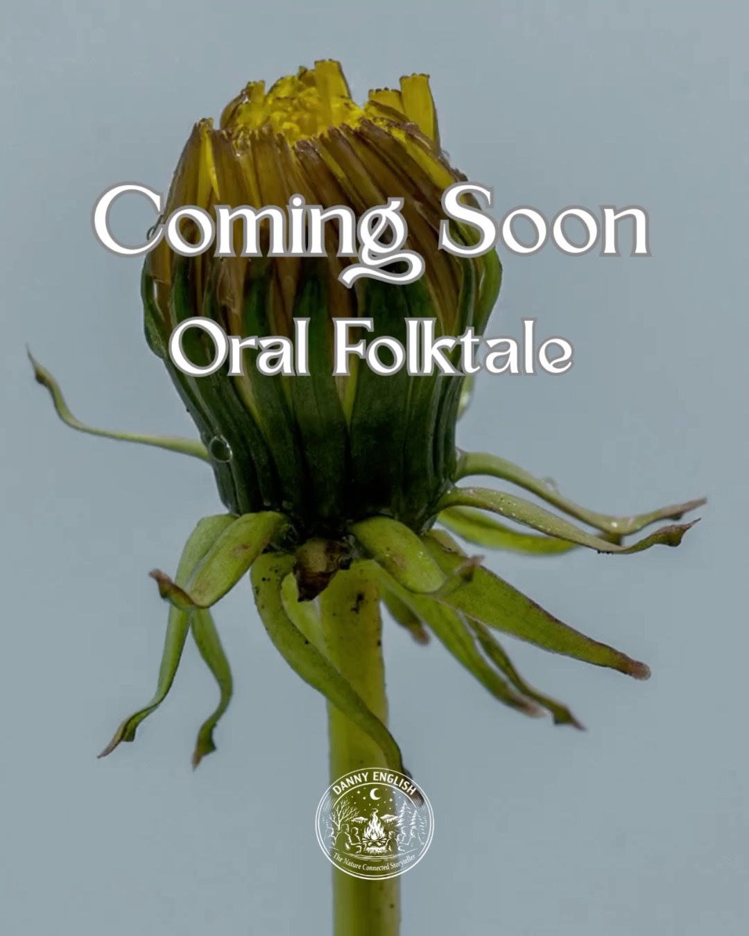 Coming Soon – Oral Storytelling: The Legend of the Dandelion
In this enchanting tale, a fairy sets out on a quest to find her favourite flower.
She wanders through ancient woodlands, explores castle gardens, and admires pristine lawns manicured to perfection. Each bloom she questions is beautiful… yet none truly touch her heart.
Just as hope begins to fade, she notices something unexpected—
a bright yellow head pushing bravely through a crack in the concrete.
The dandelion.
What follows is a story of resilience, overlooked beauty, and quiet strength. A tale that reclaims the dandelion from its betrayed title as a weed and restores it to its rightful name: The Children’s Flower.
Find out what becomes of the fairy—and discover the hidden beauty you may have stepped over all along.
#LegendOfTheDandelion #OralStorytelling #ChildrensFlower #NatureFolklore #DannyEnglishStories