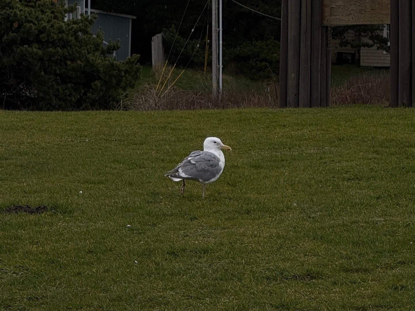 Embracing the Oregon Coast at this year’s Junior Discernment Retreat! 🌊🌲
Junior Beacons spent the weekend leaning into both fellowship and solitude as they reflected on their journey and discerned God’s calling for their lives.
We’re cheering you on every step of the way, Juniors!