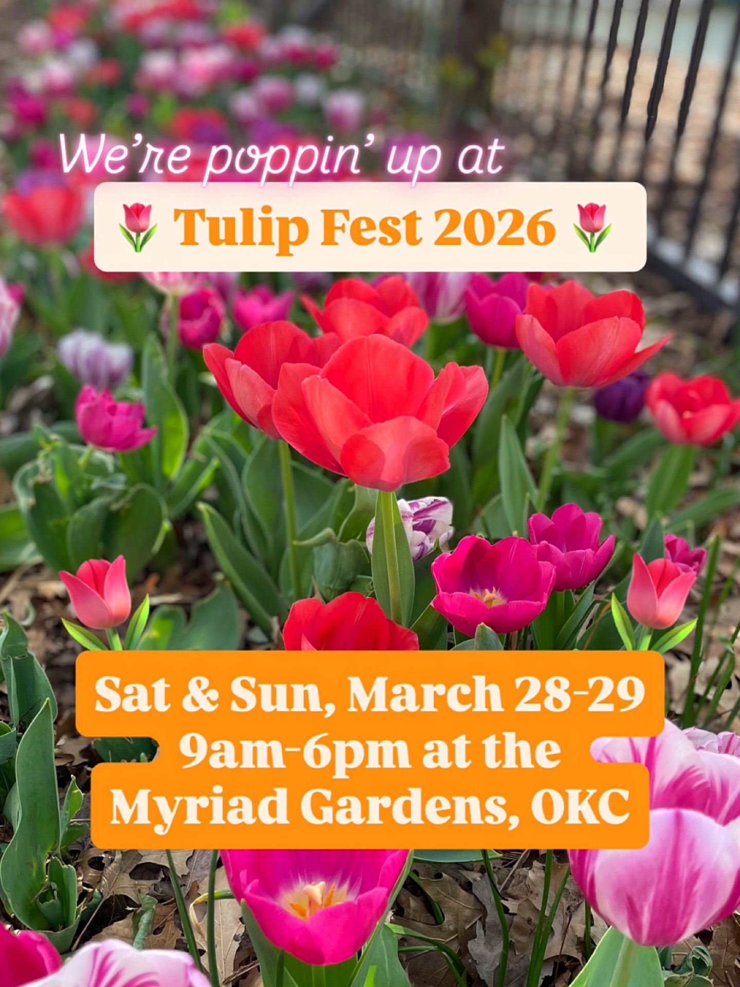 Tulip Fest & Southern Quirks are a match made in pop-up heaven! 😍🌷🛍️ Come see us later this month on the weekend of the 28th & 29th! We’ll have all kinds of beautiful goods for the flower, garden & spring lovers - as well as some perfect gifts for Easter! 🐣✝️🐰💐