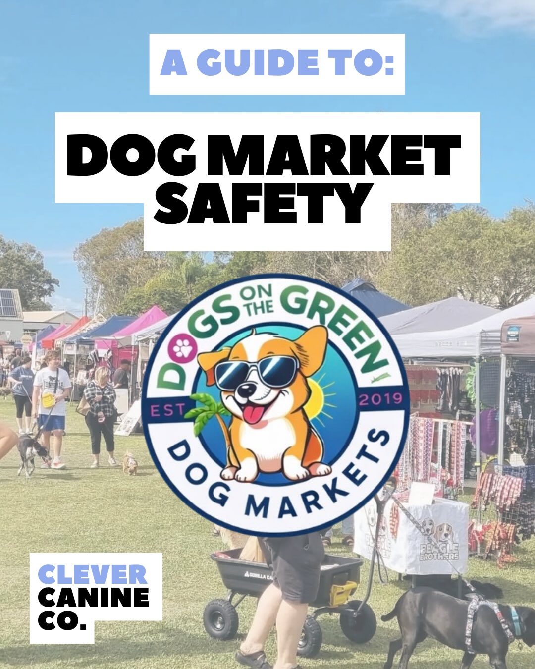 Excited for Dogs on the Green today! 🐾
Busy environments can be a lot for our dogs, so here’s your reminder to go at their pace.
✔️ Keep it calm
✔️ Reward focus
✔️ Advocate when needed
✔️ Leave on a good note
Can’t wait to see you all 🫶🏼