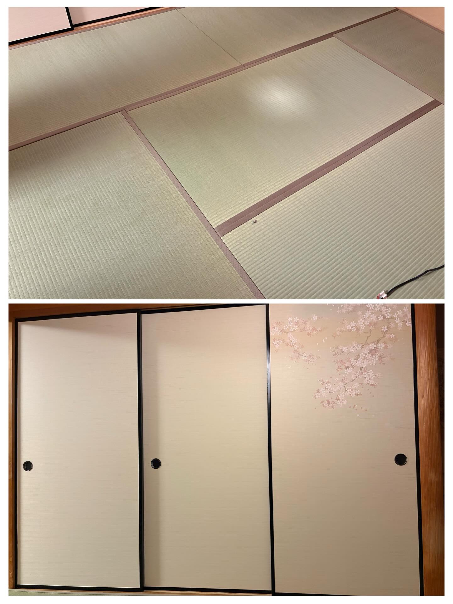 名東区のお客様へ畳・襖の張替えをお届けしました🚛
前回は安い広告の業者さんにお願いしたけど・・高級です!と言われて選んだ畳表は(中国産普及品でした)短期間でボロボロになってしまったとの事。
今回は数軒の畳店ホームページを見て地元の丸孝さんに決めました。と嬉しいお言葉😊
納品後は国産い草の良い香りと、部屋の雰囲気も良くなり大変ご満足いただけたご様子でした👌
襖1本にアクセントで🌸サクラ🌸柄を入れたのも良かったですね🎶
#熊本県産畳表応援店
畳表 熊本県産 涼風品種
本間サイズ(幅広)綿々
襖紙 織物紙 のぞみ
#名東区畳
#日進市畳
#長久手市畳
#名東区襖
☆畳☆襖☆障子☆網戸☆張替え
名古屋市
名東区
高間町
丸孝畳店 マルタカタタミテン
☎️052-701-6960