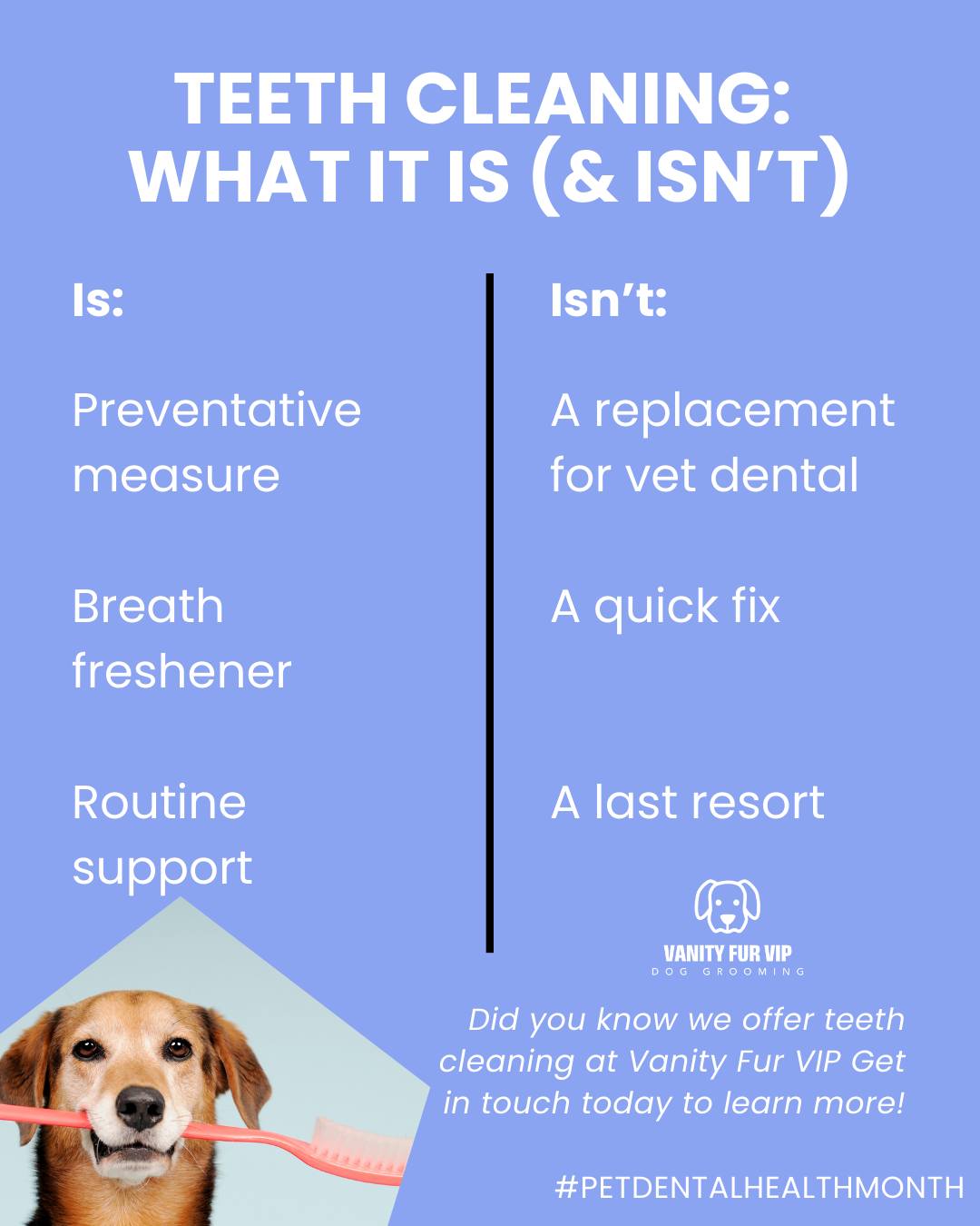 🦷 Teeth Cleaning: what it is and what it isn’t 🦷
There’s a lot of confusion around dog teeth cleaning, so here’s a clear, breakdown:
✨ What it is
✔️ A preventative measure to help slow plaque and tartar build-up
✔️ A breath freshener
✔️ Routine maintenance alongside brushing, chews, and regular vet checks
🚫 What it isn’t
❌ A replacement for veterinary dental treatment
❌ A quick fix for advanced dental disease
❌ A last resort when teeth are already painful or infected
❌ A descaling of teeth (only Vets can perform this)
Think of teeth cleaning like brushing your own teeth, it works best when done little and often, not when problems are already severe.
If you’re unsure whether your dog is suitable, I’m always happy to chat about what’s best for your dog.
Love,
Melanie @ Vanity Fur VIP x
#vanityfurvip