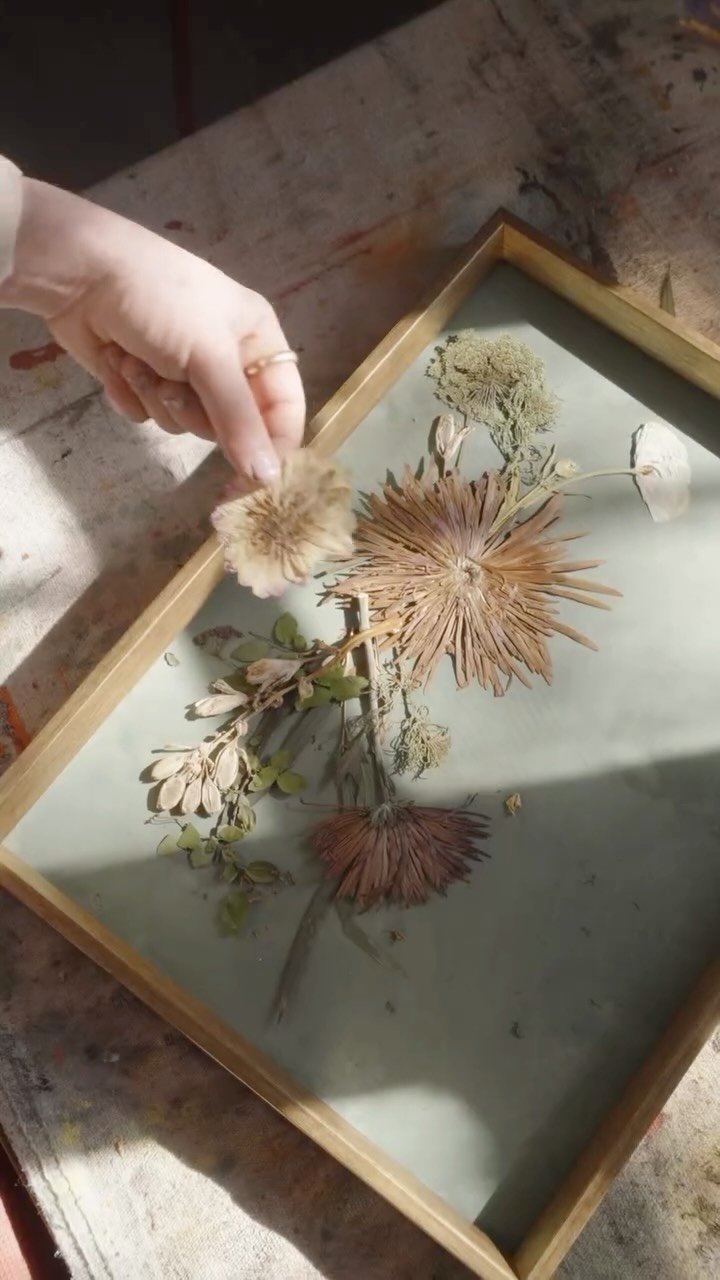 STUDIO days 🌼
Opened up my flower press with @dashka_do to capture some b-roll of my paint wash process and assembling a pressed floral bouquet from one of my brides last year.
I love the idea of “using all the parts of the buffalo,” especially in an industry like floral design where we create so much waste. It’s a big reason why I press flowers and dry stems for bouquets whenever I can.
I felt so honored when my bride @downtown.tasha trusted me with her wedding flowers to create keepsake frames for her and her family. Pressing is a delicate process and you always have to expect to lose some blooms along the way, which makes the pieces that make it through feel even more special.
🌼
Thank you again to my multi-talented friend @dashka_do for helping 'find my angles' in my workspace and enjoying an afternoon together with some pretty product.