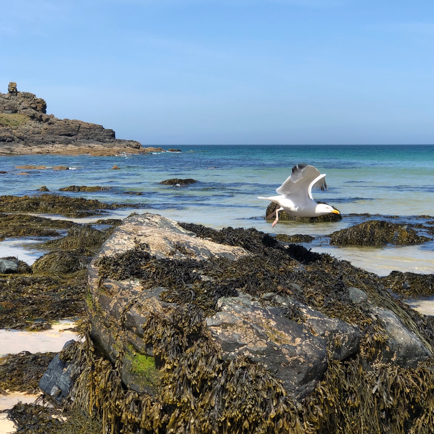 cornwall shapes everything i create 🌾
the soft sands.
the muted cliffs.
the way the sea smooths every edge over time.
growing up surrounded by wild coastline has taught me to notice texture, movement, and the beauty in imperfection.
the wildflower edit is rooted here — in salt air, shifting skies, and quiet resilience.
launching soon 🤍