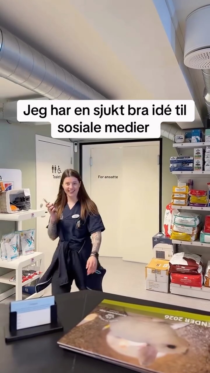 Teamet når jeg tar frem kameraet:
🏃🏻♀️💨