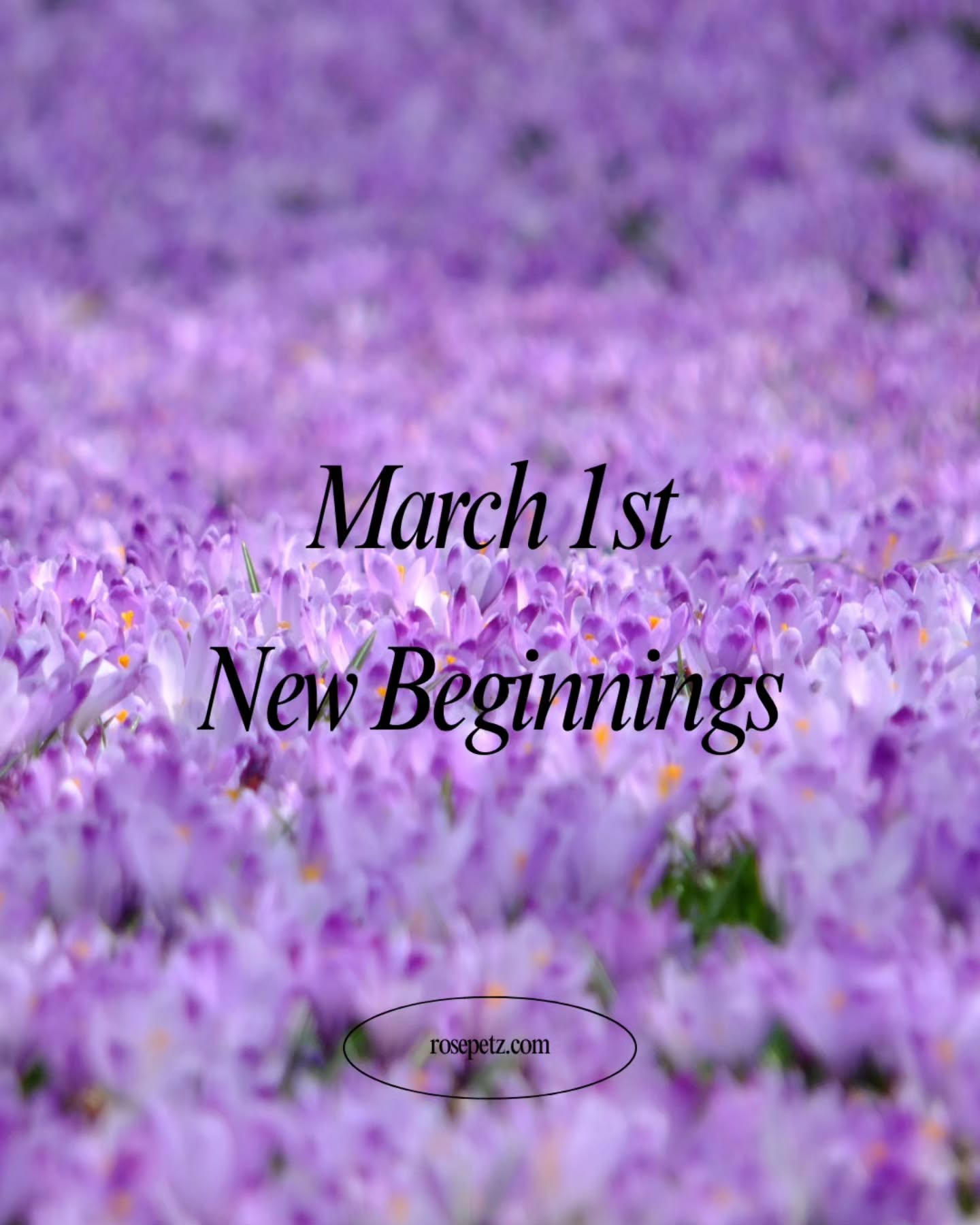 🌸 New Month Energy Reset
March is your energetic reset.
Call in the Archeia of Renewal and ask:
✨ What version of me is ready to rise?
Today’s Ritual:
• 5 minutes morning journaling
• 10 minutes gentle movement
• 3 deep grounding breaths
Your morning routine creates your energy blueprint.
Comment: What are you calling in this month?