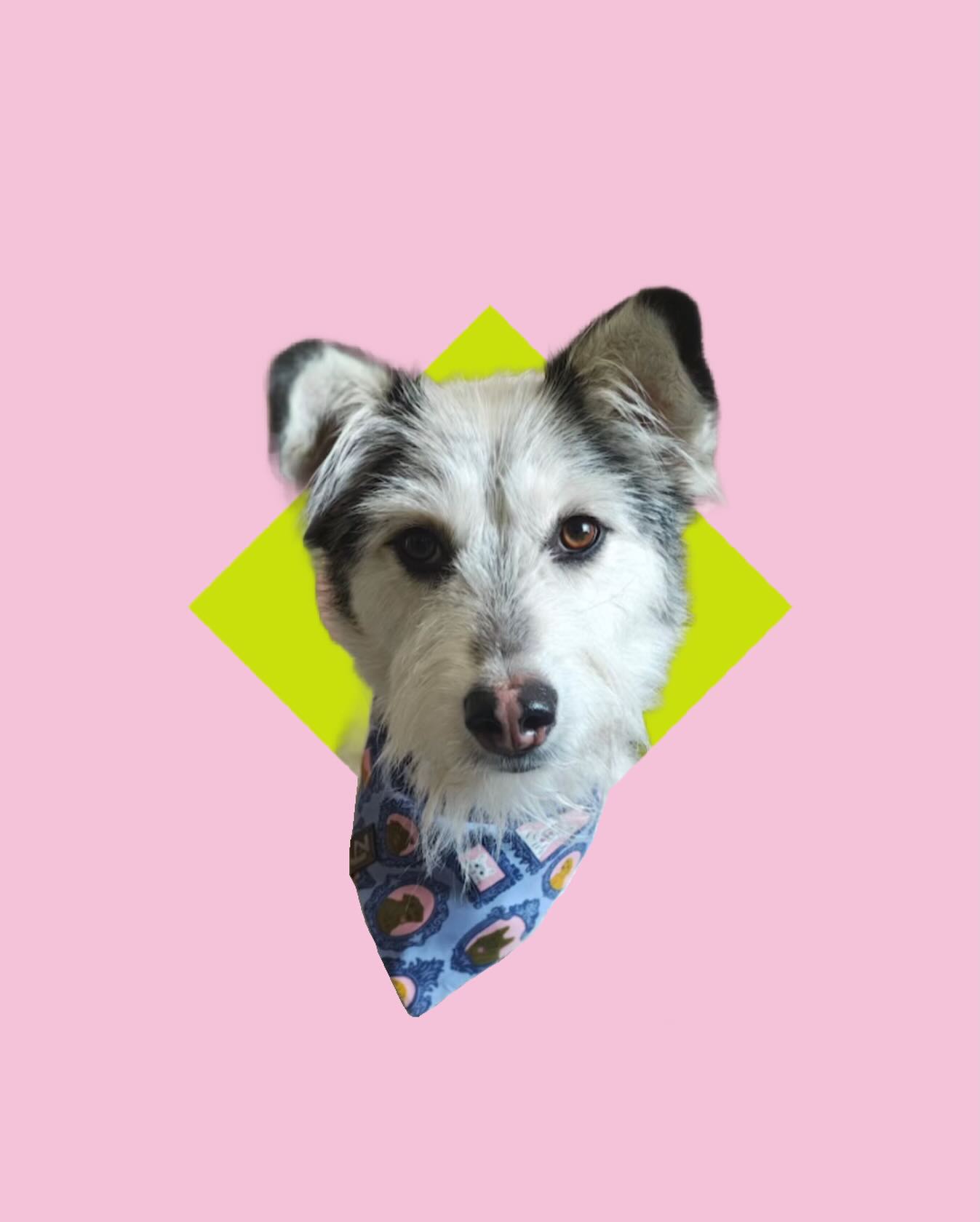 ✨ Just two pretty best friends looking at each other through the phone ✨