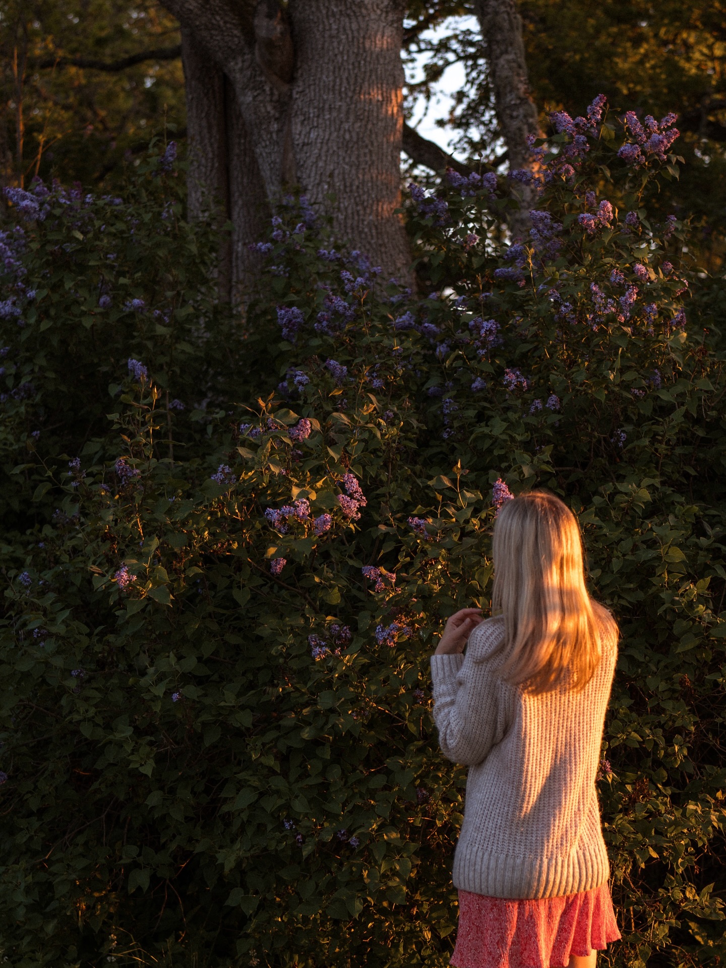 Happy Independence Day, Estonia! 🤍🇪🇪
My beautiful home country, just a tiny corner of the world, yet so unique and full of magic, and somewhere I always miss when I’m away.
Couldn’t be more grateful to have my roots here, and to have finally found my way back here too 🤍