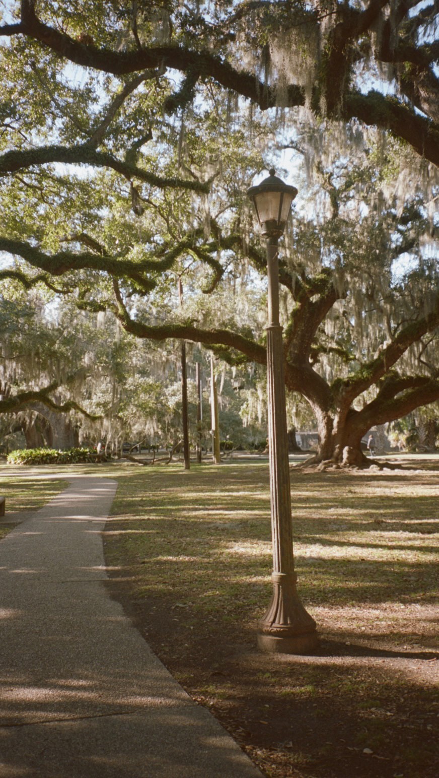 Spring in New Orleans is my all time favorite season!