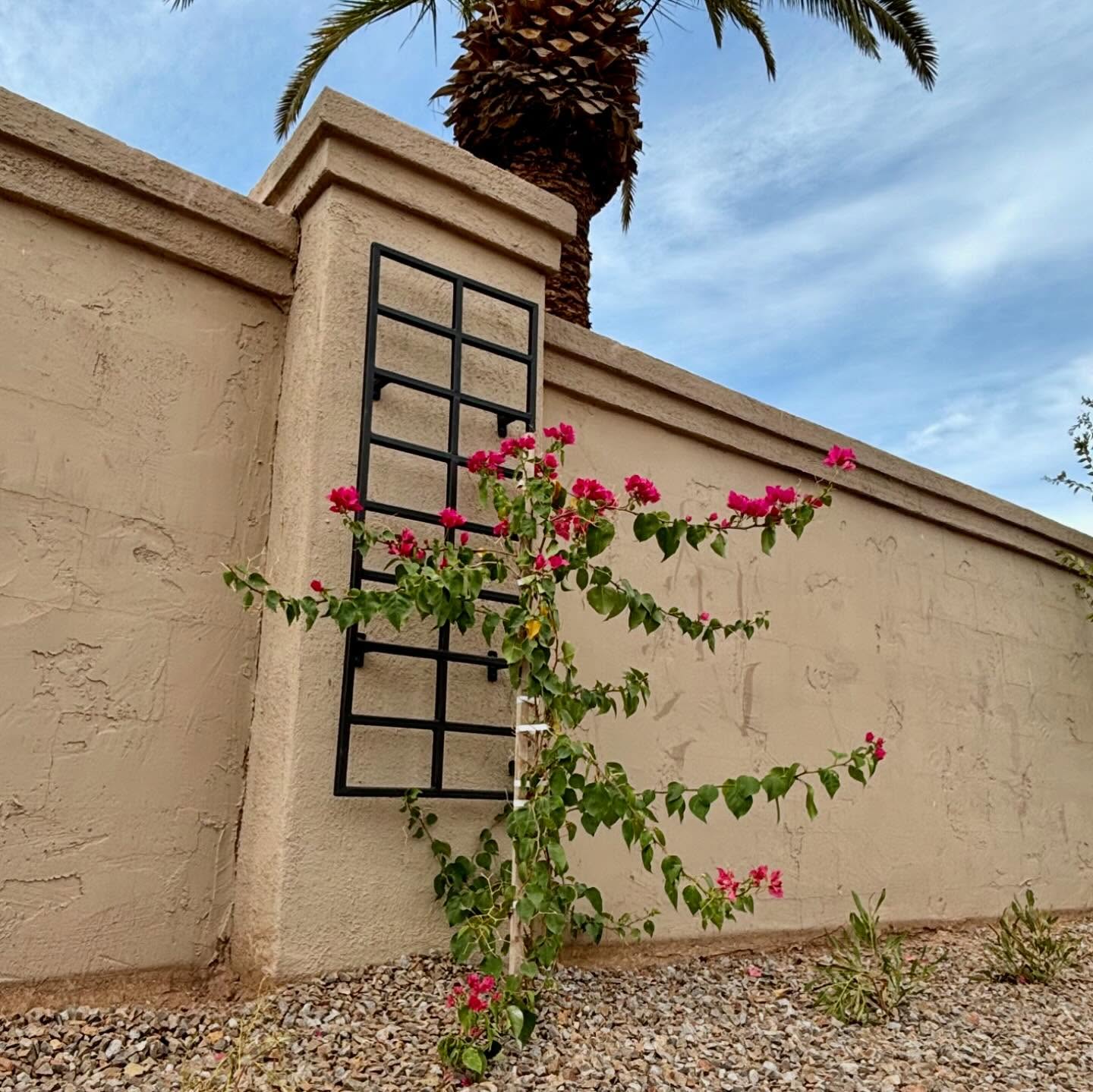 It’s all about trusting the process and our San Marcos Job has advanced quite a bit since we last saw that plant tree installation.
.
.
We’ve installed:
trellises (painted by @royalpaintaz )
Plants
Palm trees
Trees
Lights
Repaired stucco
Built back up the monument
Built block side entrance
Started adding some stone to the monument
Added base for the code box
It’s sure looking good!✨
.
.
.
#chandleraz #azconstruction #construction #landscape #landscapephotography #az #azinstagram #instaaz
