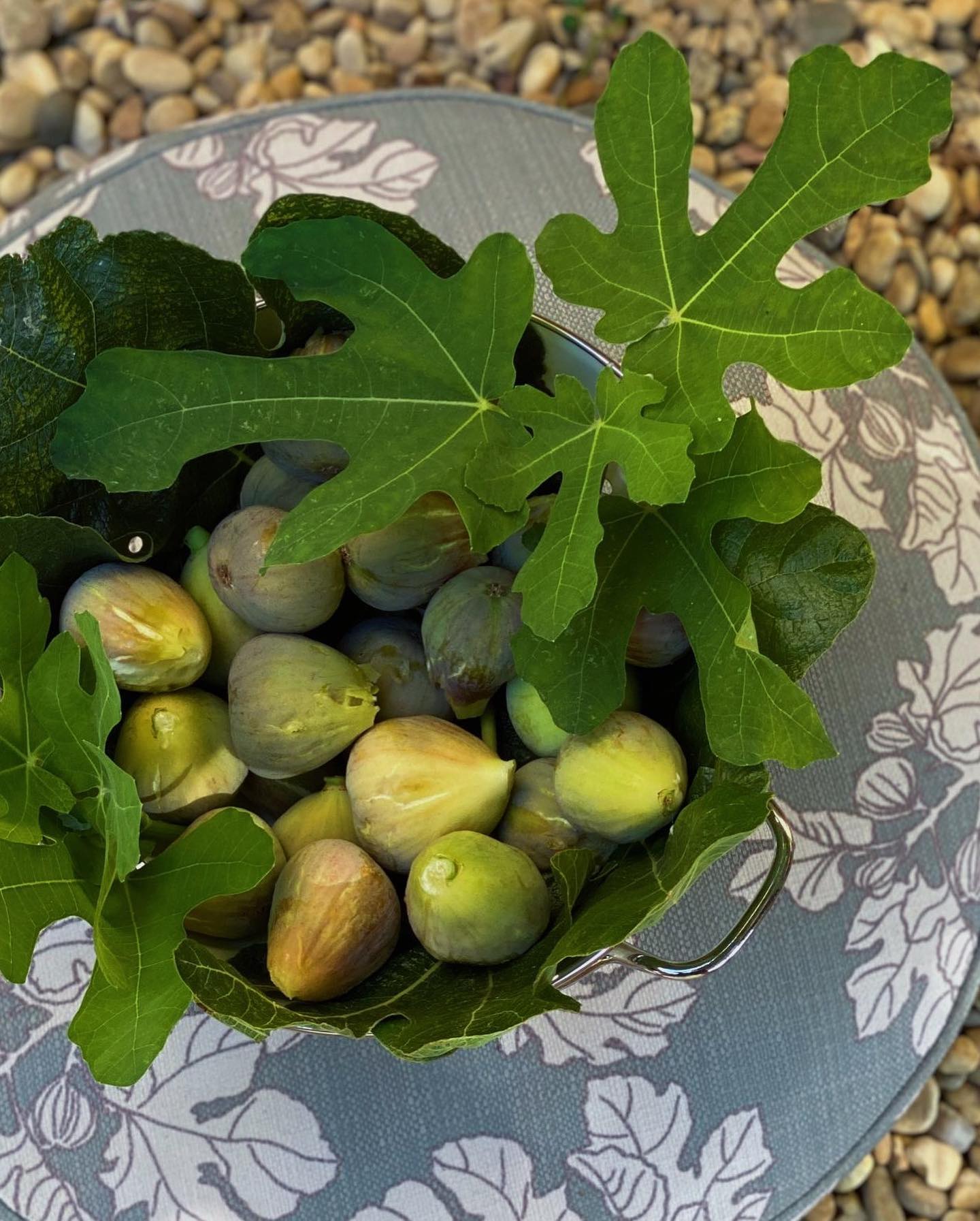 The muse and the artwork🌱
#inspiration #commissionwork #southoffrance #nature #mywork #outdoortextiles #garden #interiordesign #smallbusiness #madeinzurich #swissmade #textiledesign #craftsmanship #textiledesignstudio #barbarawagner