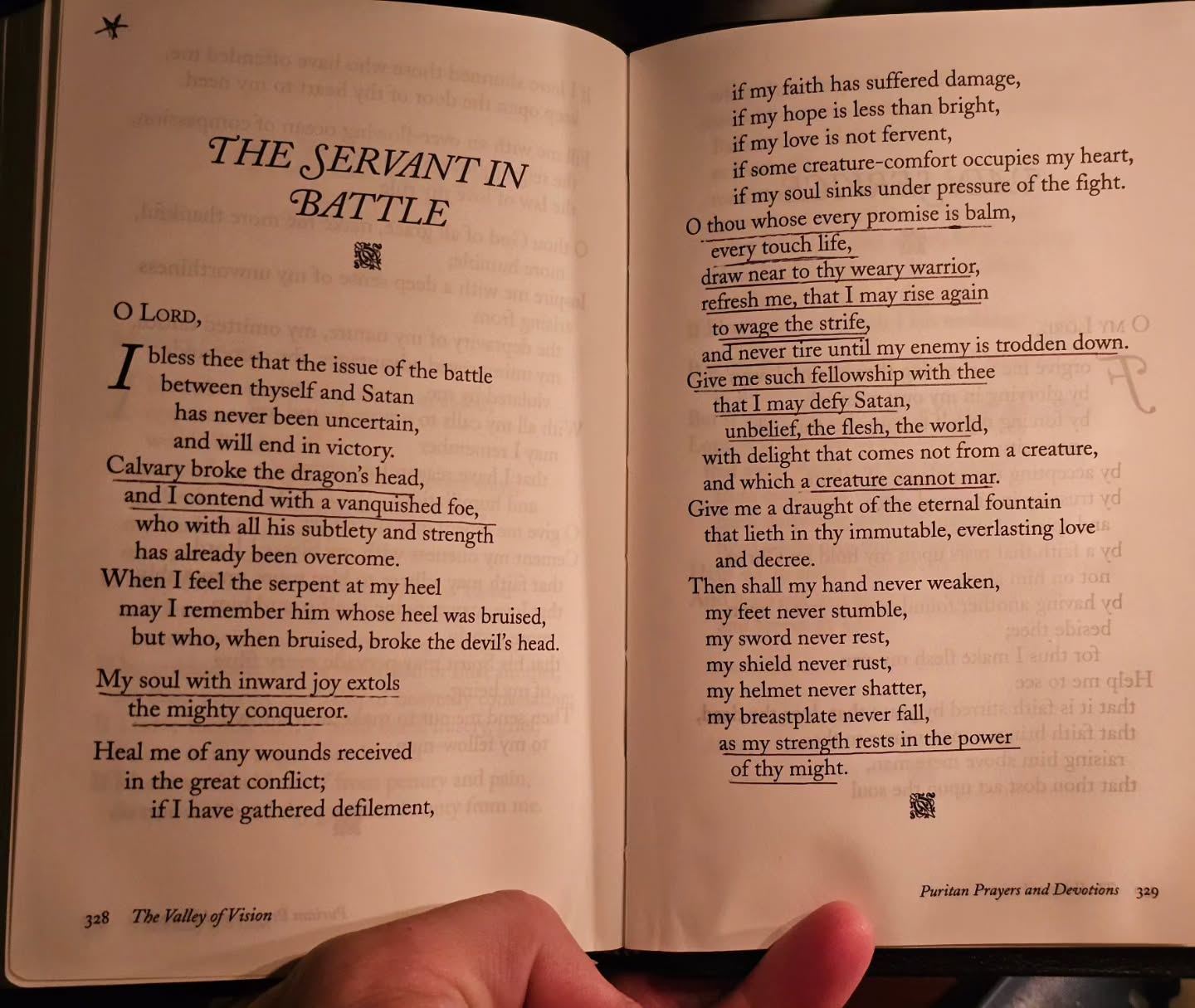 The Valley of Vision has been an immense blessing to me lately. The Puritans seem to have had it 99% right.
•
Lets go wage the strife.