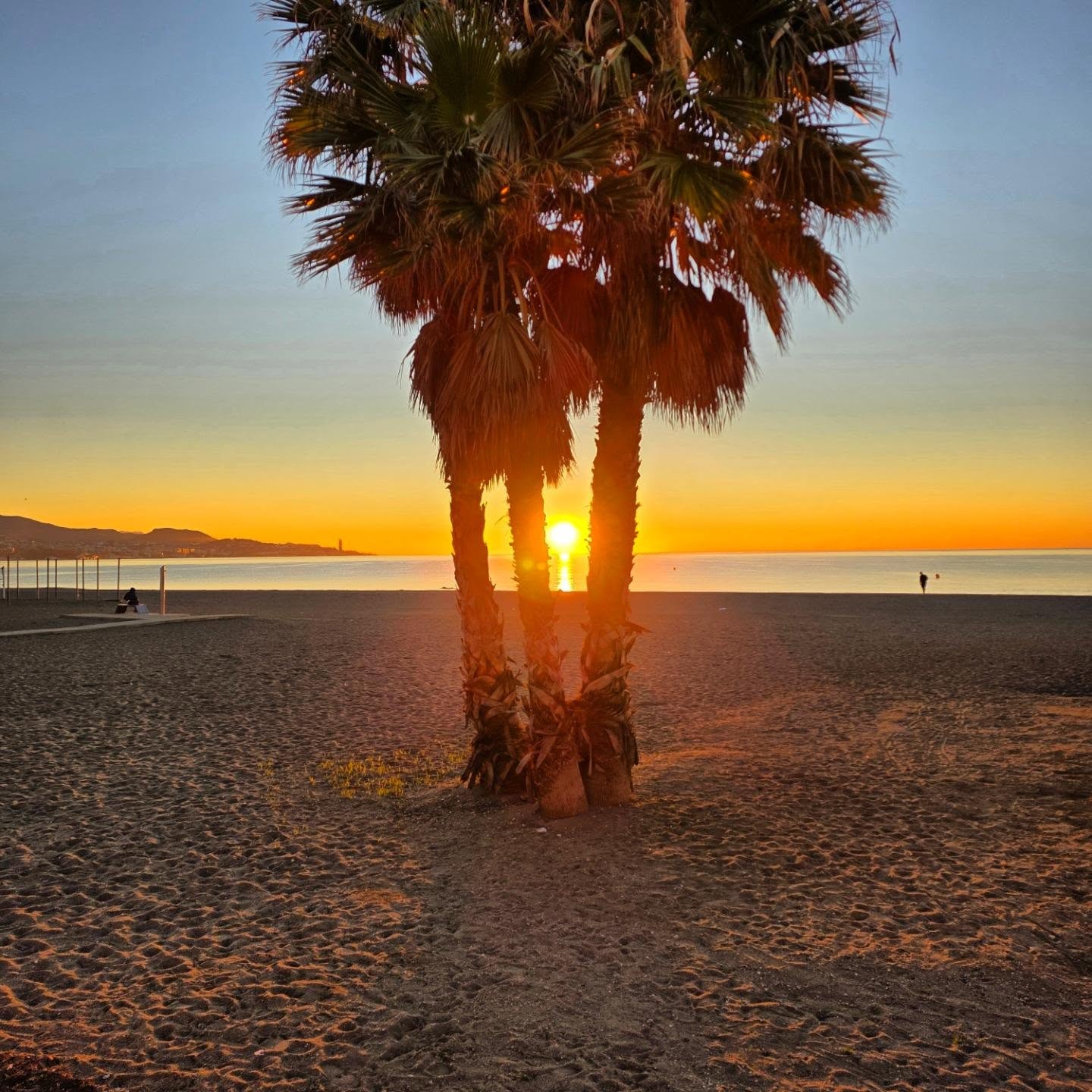 📍 Playa de la Malagueta #sunrise ☀️
.
.
#malaga #lovingmalaga #malagademisamores #enamoratedemalaga