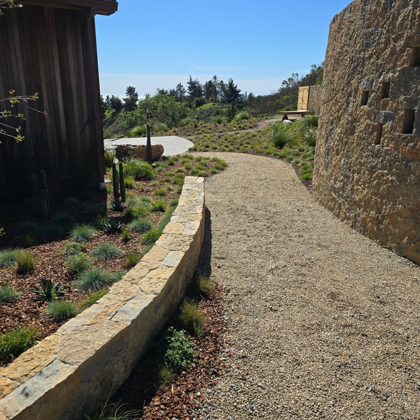 Establishment period check up in #BigSur 💚 . Looks like everything is starting to take.
#LandscapeDesignBuildandMaintain
#CarmelPointLandscapes
#bigsur