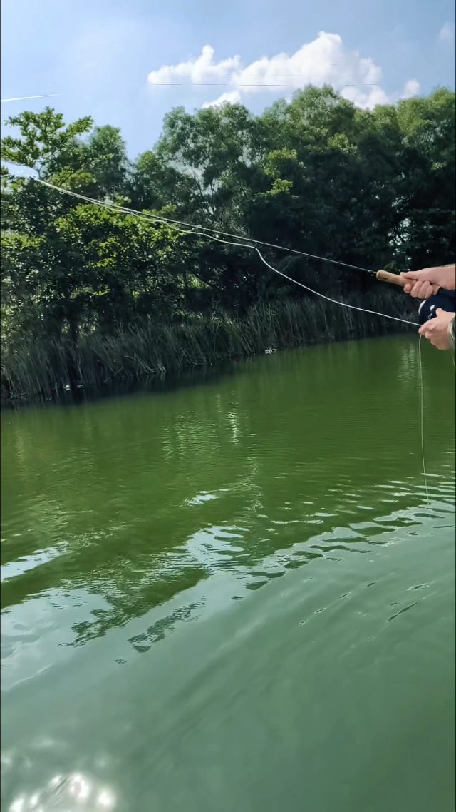 Strange religion #hardworkingangler #peacockbassfishingguidemalaysia #visitmalaysia #flyfishing #peacockbass