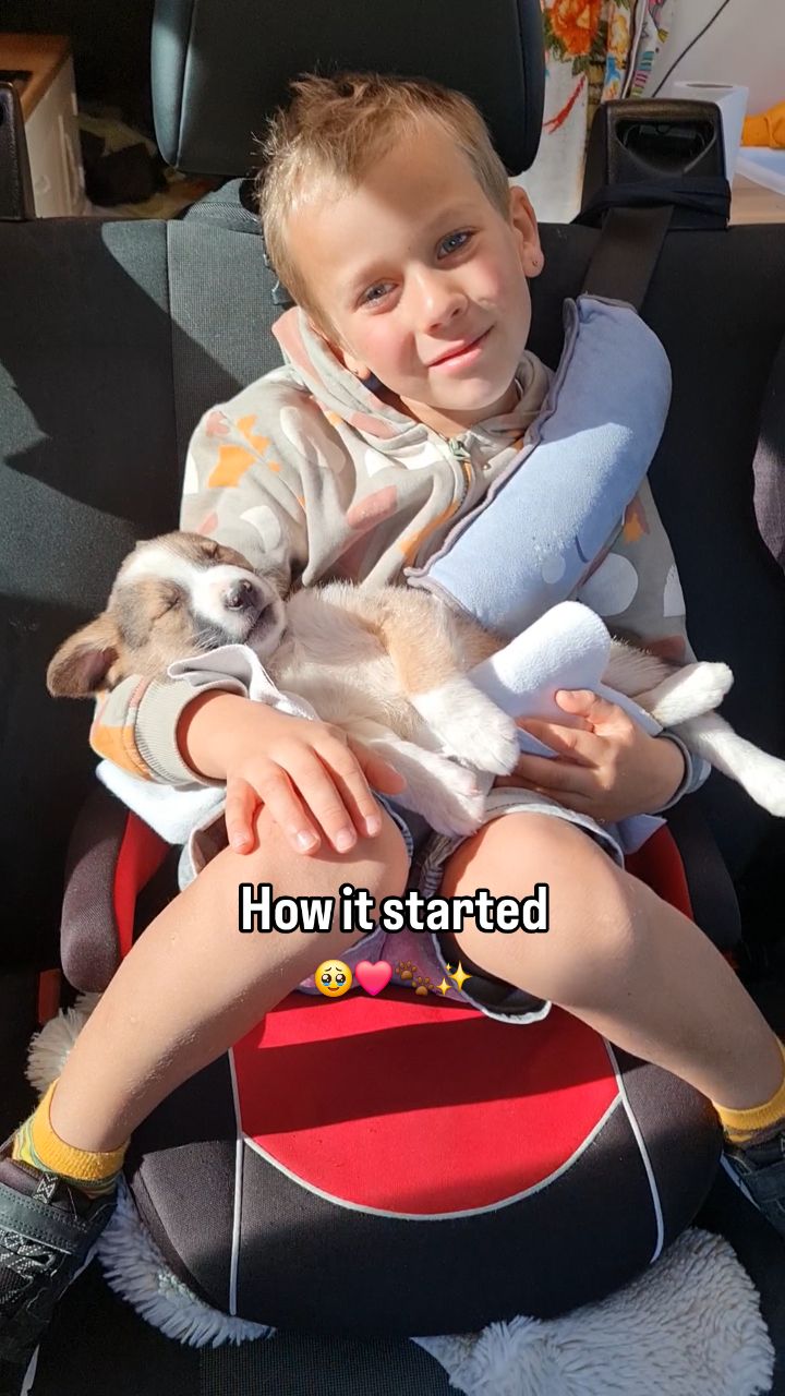 Pure love ❤️🥹🐾
Ces deux.. ils étaient fait pour se rencontrer 🙏🏻☀️
#mydog🐶 #dogsofinstagram #rescuedog #dogslovers