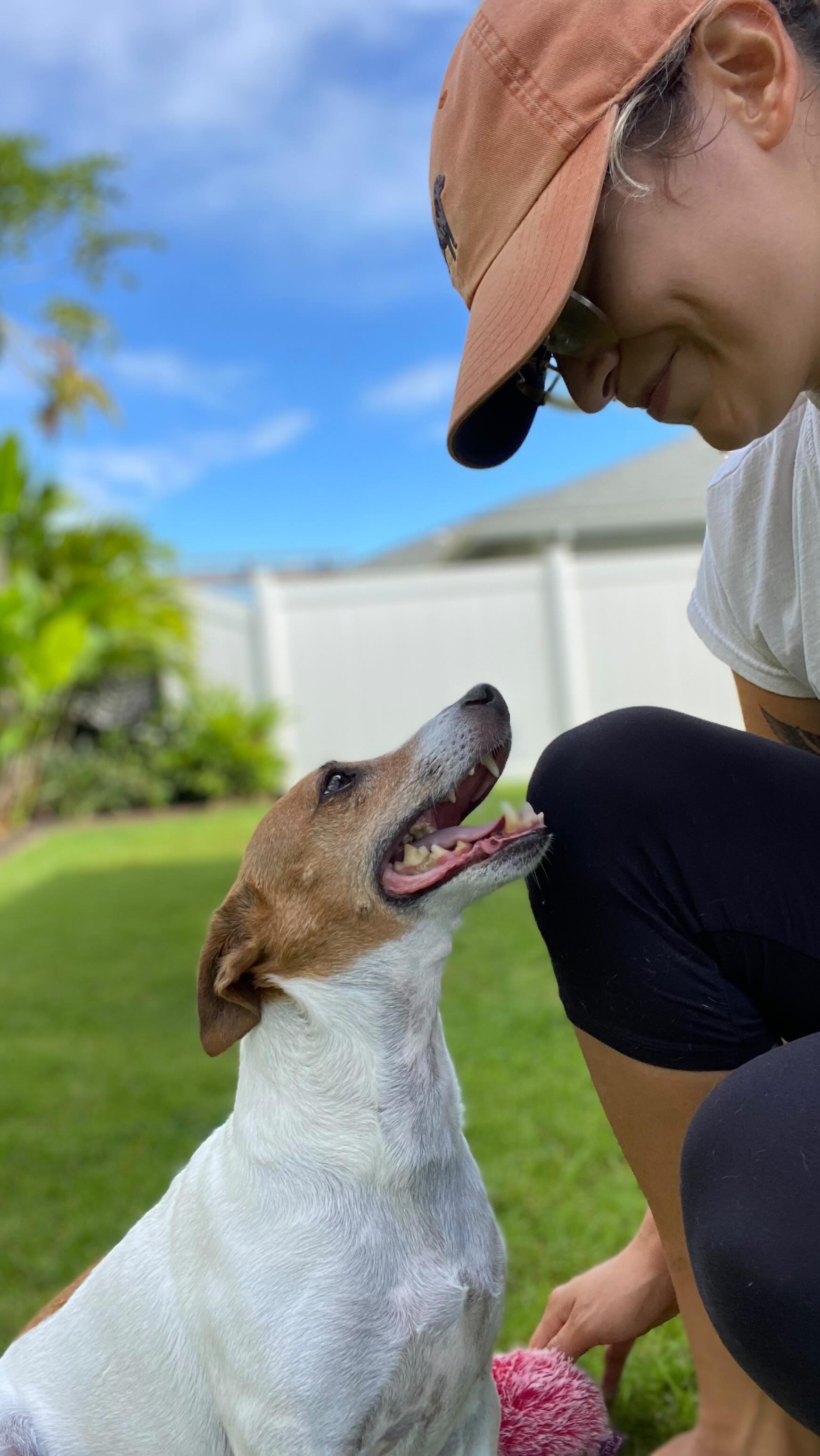 If you became a member today, your pets grooming appointment would look like this ♥️ With every visit with your pet, my goal is building a trusting relationship through gentle handling and positive reinforcement.
🌟 Our services are created with respect toward each unique pets needs, and we practice force free/fear free techniques meaning we never push past what your pet is comfortable with. Depending on your pets temperament- a groom may not be perfectly finished, but they will have started a trusting and positive association through their first appointment.
🐕 ♥️ At HTSC, we believe in Humanity Over Vanity. Our trusting approach sets your pets up for a lifetime of easy handling and stress-free services. With us, you get more than a beautiful haircut, you get peace of mind for now and the future.
🌈 Your furry friend is a family member and we treat them as such! If your pet is accustomed with grooming already, perfect! They will still get the same 5 star spa treatment and a fabulous haircut.
For more disclosures and policies, checkout my website Grooming Tab and scroll to the bottom 🐾
#longbeach #maui #socaldogs #mauidog #holisticdog