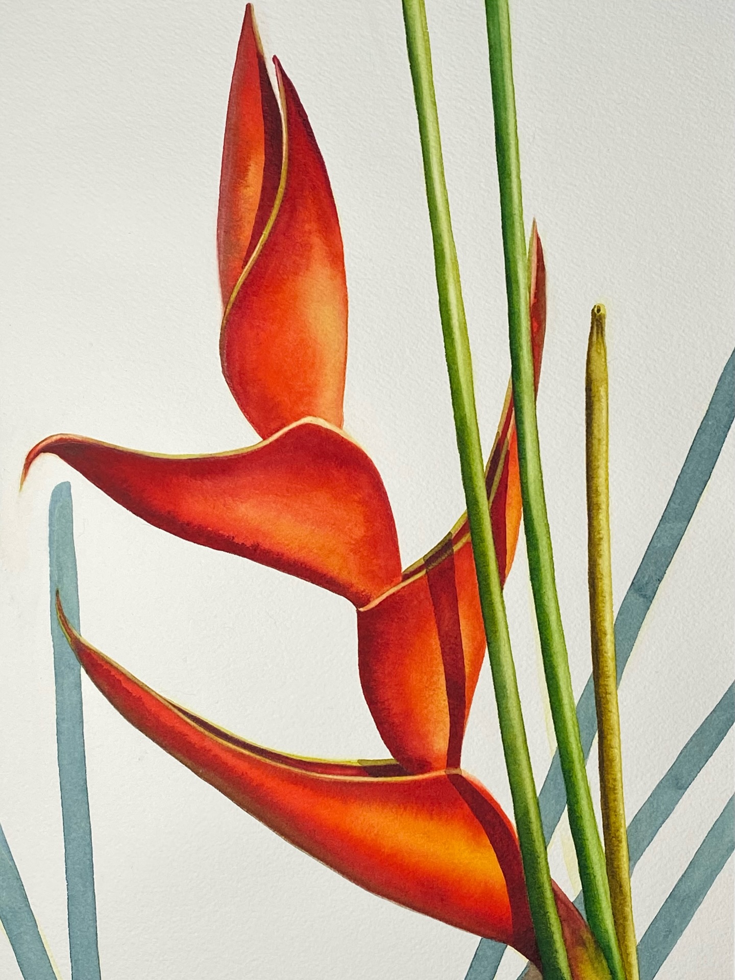 Ένα έργο με ακουαρέλα που έγινε χωρίς προσχέδιο, χωρίς περιγράμματα με μολύβι.
Ξεκίνησα με μια πολύ ελαφριά στρώση κίτρινου και σιγά σιγά ζωγράφισα διαδοχικές στρώσεις χρώματος, μέχρι να εμφανιστούν το φως, η σκιά και ο όγκος.
Αυτή η διαδικασία είναι «τρομακτική» για όσους θέλουν να ζωγραφίζουν με τη ασφάλεια που δίνει το σχέδιο με μολύβι και η γόμα που διορθώνει τα λάθη.
Είναι όμως πολύ απελευθερωτική και μια εξαιρετική άσκηση θάρρους που μας μαθαίνει να αγαπάμε τα «λάθη» και να αποδεχόμαστε ως μέρος της διαδικασίας.
Ζωγραφίζοντας χωρίς να το καταλάβω, το μυαλό μου αδειάζει από σκέψεις. Πολλοί λένε πως αυτό το βρίσκουν στον διαλογισμό· για μένα, μία από τις πιο όμορφες μορφές διαλογισμού είναι η ζωγραφική.
Μάριον Κουμπούρη - The Art Flip Studio
🎨 Painting classes at my studio
📍 Κ.Σερβίας 12-14, Σύνταγμα
🌐 theartflip.com
.
.
.
.
#theartflip #watercolor #watercolorflowers #paintingonpaper