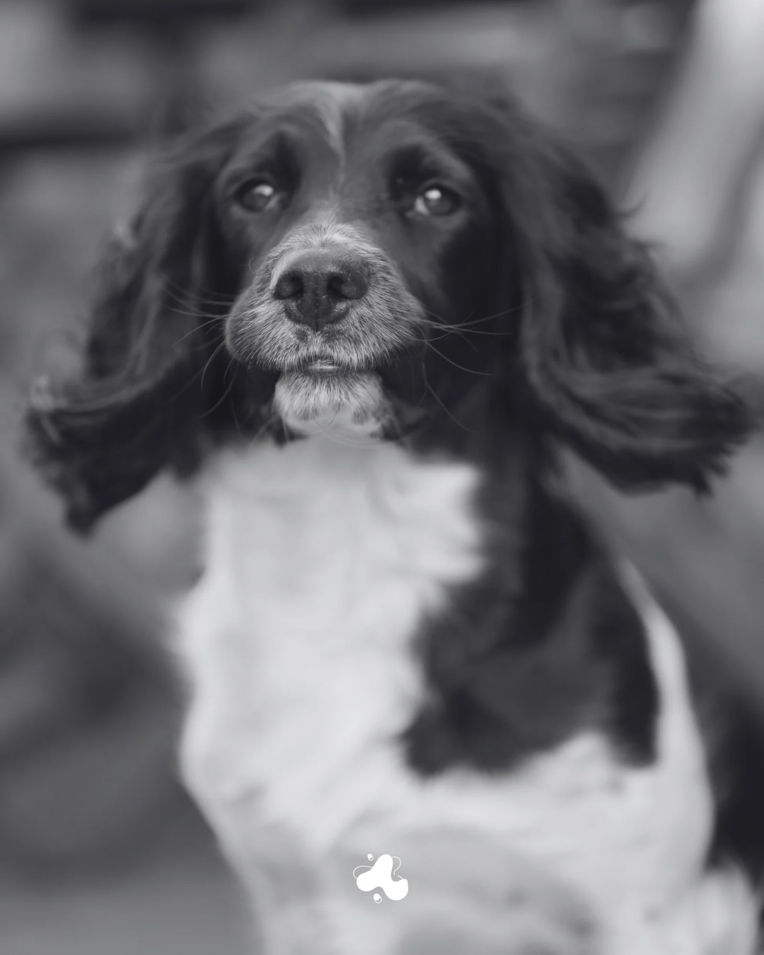 Serious about our kit, @sony behind the lens 📸
Less serious about the dog’s modelling skills 🐶
High quality content.
Very average poses 😜
Drop us a DM if you’re ready to take your content to the next level ✨