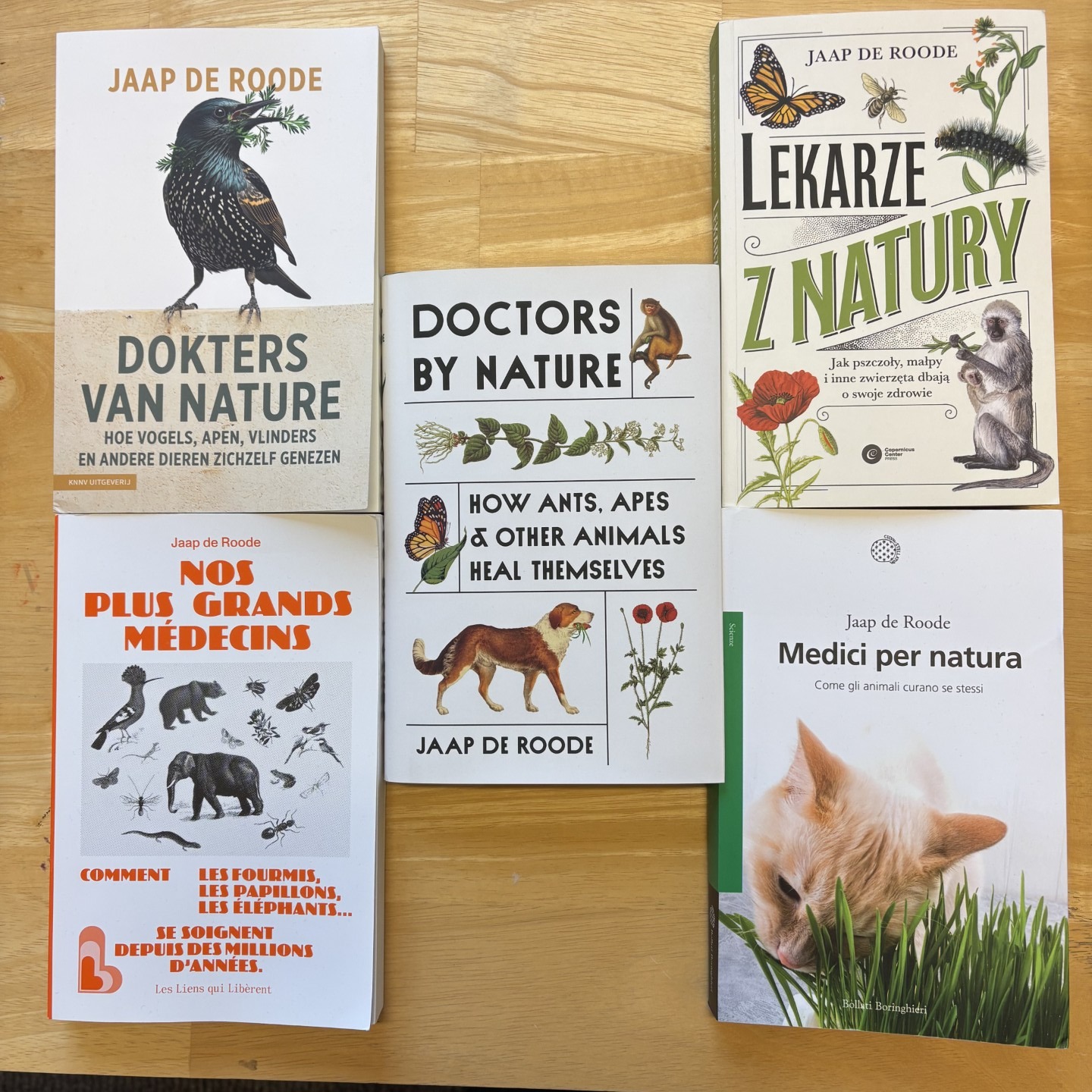 Today marks the 1-year anniversary of the release of my @princetonupress book #doctorsbynature, and what a year it has been!
The book has appeared in Dutch with @knnvuitgeverij, in French with @les_liens_qui_liberent, in Polish with @copernicuscenterpress, and in Italian with @bollati_boringhieri. Translations are forthcoming in Spanish, Russian, Chinese, Japanese and Korean.
I have had the privilege to talk about the book with journalists, during public talks, and on podcasts in the US, England, Scotland, France, Belgium, The Netherlands, Italy, Australia, and Slovenia, spreading the message that animals have a lot of medicinal knowledge that we can learn from - to help them, and ourselves; and that this provides yet another reason we should preserve nature.
Thanks to much to everyone who has been open to receive and spread this important message.