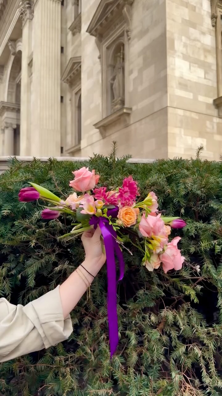 🏛️🕊️ #budapest #historical #romance