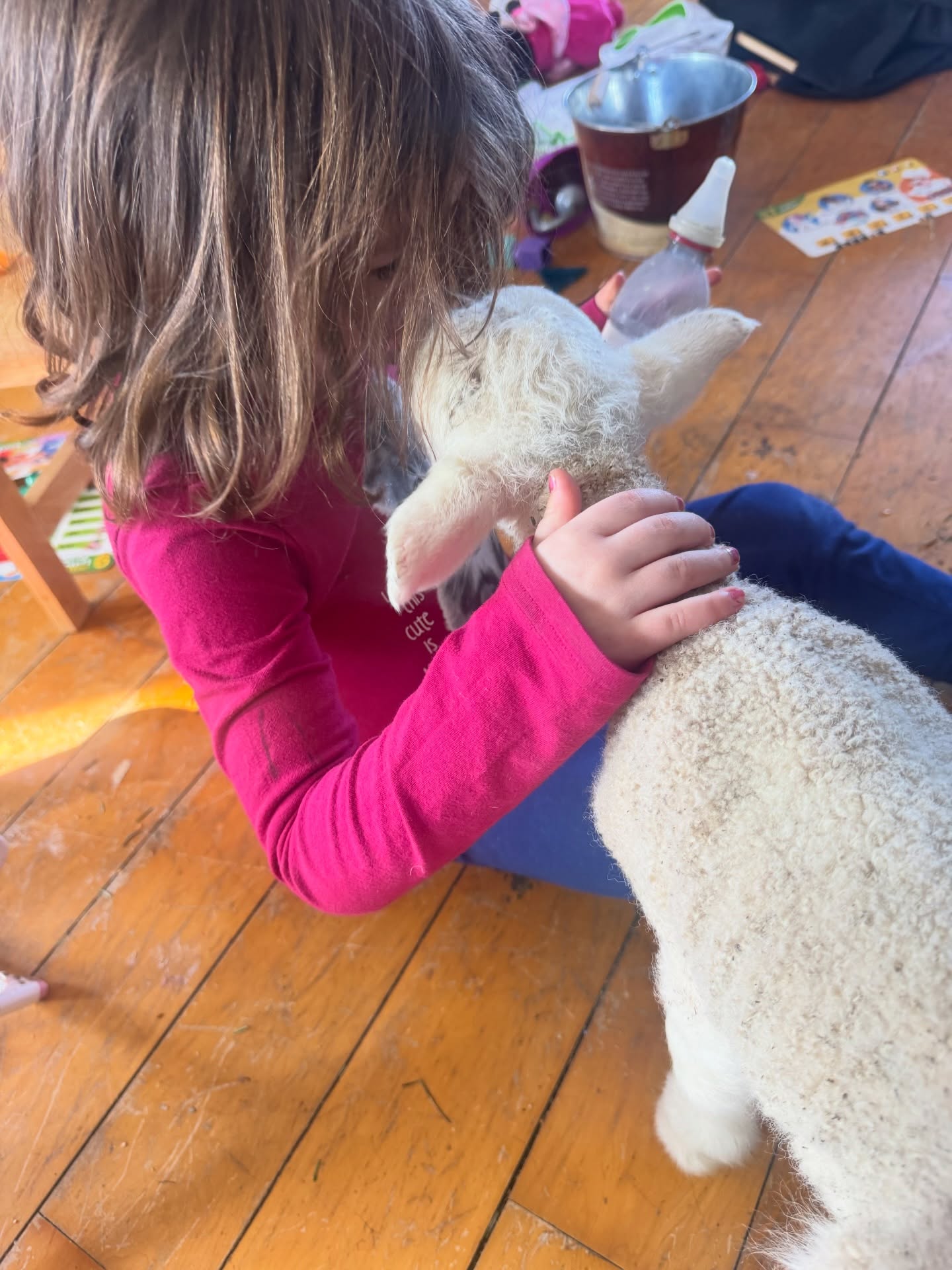 Sometimes, despite our best efforts, a ewe just doesn’t bond with her lamb. It’s never the lamb’s fault and it’s not always the mom’s either.
Before stepping in, we try everything: supervised nursing, scent swapping, holding mom still to allow the lamb to latch, and giving them time in a quiet space together. Bottle feeding is truly our last resort, because there’s no substitute for a lamb being raised by its mother whenever possible.
When it becomes clear that a lamb isn’t getting enough nutrition or is being rejected, we step in to make sure they’re fed, warm, and thriving. It takes extra time and care, but their health and wellbeing always come first.
Reagan was thrilled about the new houseguest. Maple… is still deciding how she feels about it.
#lamb #sheepfarming #sheep