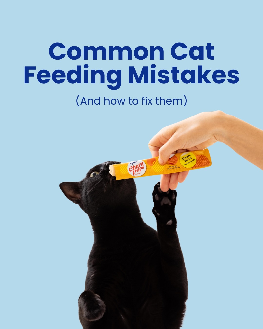 đŸ SAVE this for later!
Common cat feeding mistakes⊠and how to fix them đŸ
From free-feeding all day to relying only on dry food, small habits can make a big difference to your catâs health over time.
The good news? A few simple swaps can help support better routines, hydration and balanced nutrition - without taking the fun out of mealtimes đ»
#Churu #CatCareTips #CatFeeding #CatNutrition #CatParents