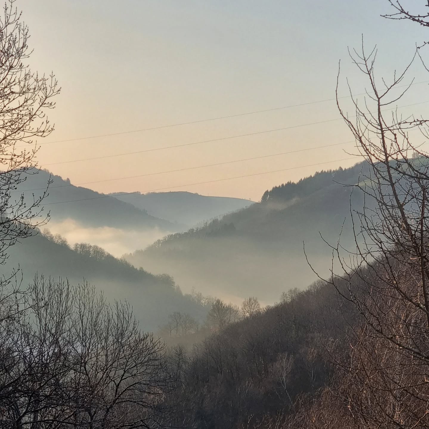Ce matin, pas tout à fait levé au lever du soleil 😄 mais j'ai réussi à admirer la magnifique brume matinale.
This morning, not quite up at sunrise 😄 but managed to catch the beautiful morning mist.
