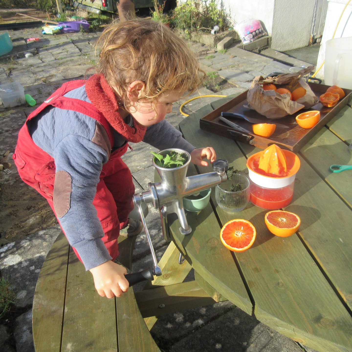 Stinging nettles are springing up, one of our all time favourite super foods. Nettle & orange juice is one of the tastiest ways to enjoy them and is packed with vitamins & minerals.
We also love them mixed with wild garlic in pestos & with bananas in smoothies.
Mae danadl poethion yn ymddangos, un o'n hoff fwydydd gwych erioed. Mae danadl poethion a sudd oren yn un o'r ffyrdd mwyaf blasus o'u mwynhau ac mae'n llawn fitaminau a mwynau.
Rydym hefyd wrth ein bodd â nhw wedi'u cymysgu â garlleg gwyllt mewn pestos a gyda bananas mewn smwddis.