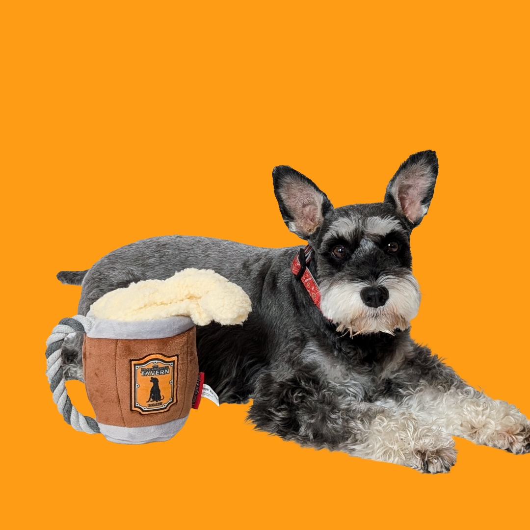 You had Valentine's Day and Pal-entine's Day, but have you had a drink with your animal companion? Soon you can get your furriest friend a round at the Black Hound Tavern, our exclusive collaboration with @cantripcandles andles! Check our website for more!
