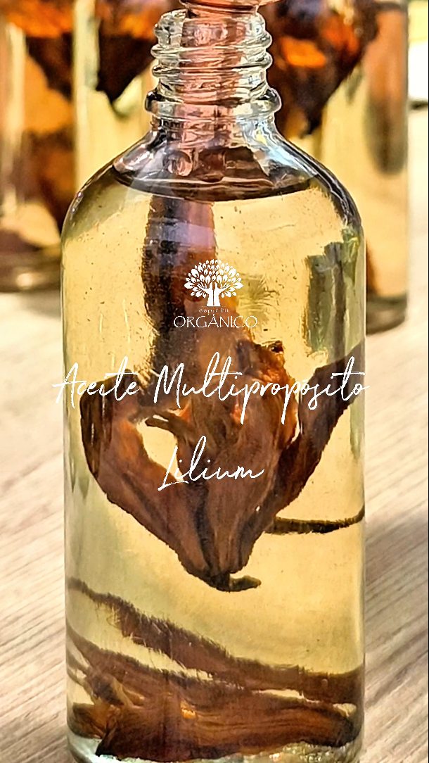 🌸 LILIUM – Aceite Multipropósito Floral 🌿
Un ritual de nutrición suave y consciente para tu piel.
Nuestro aceite Lilium combina aceites vegetales ligeros y nutritivos como almendra dulce, semilla de uva y coco fraccionado, enriquecidos con vitamina E y flores orgánicas que aportan una experiencia sensorial delicada y envolvente.
Su textura es ligera, de rápida absorción y deja la piel con una sensación flexible, luminosa y profundamente humectada sin ser pesada.
Perfecto para:
✨ Masajes corporales
✨ Humectación diaria
✨ Puntas del cabello
✨ Cuidado de manos y pies
✨ Ritual nocturno de nutrición
Un aceite versátil que acompaña tu rutina y transforma lo simple en un momento de bienestar.
🌿 Nutre. Suaviza. Ilumina.
#aceitecorporal #organico #natural #artesanal #cosmeticanatural