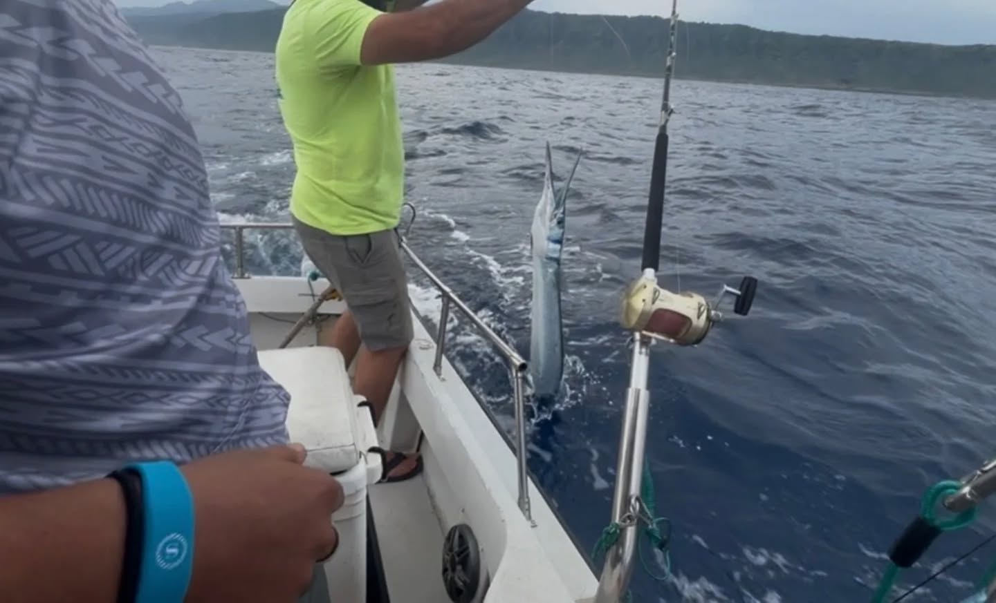 Half day surprise 🫢. Gigantic Aha!
For charters check out:
Gofishoahu.com
#hanapaa #freshfish #aha #fishingfordinner fishtacos bakedfish #ceviche poke sahimi trolling pelagicfishing fishingbooker haleiwafishingcharter haleiwa hawaii fishingkids hawaiifishingcharter oahufishing oahu dinnerfish livetofish captainmatt lines lures rods reels polebender luckylasshaleiwacharters gofishoahu