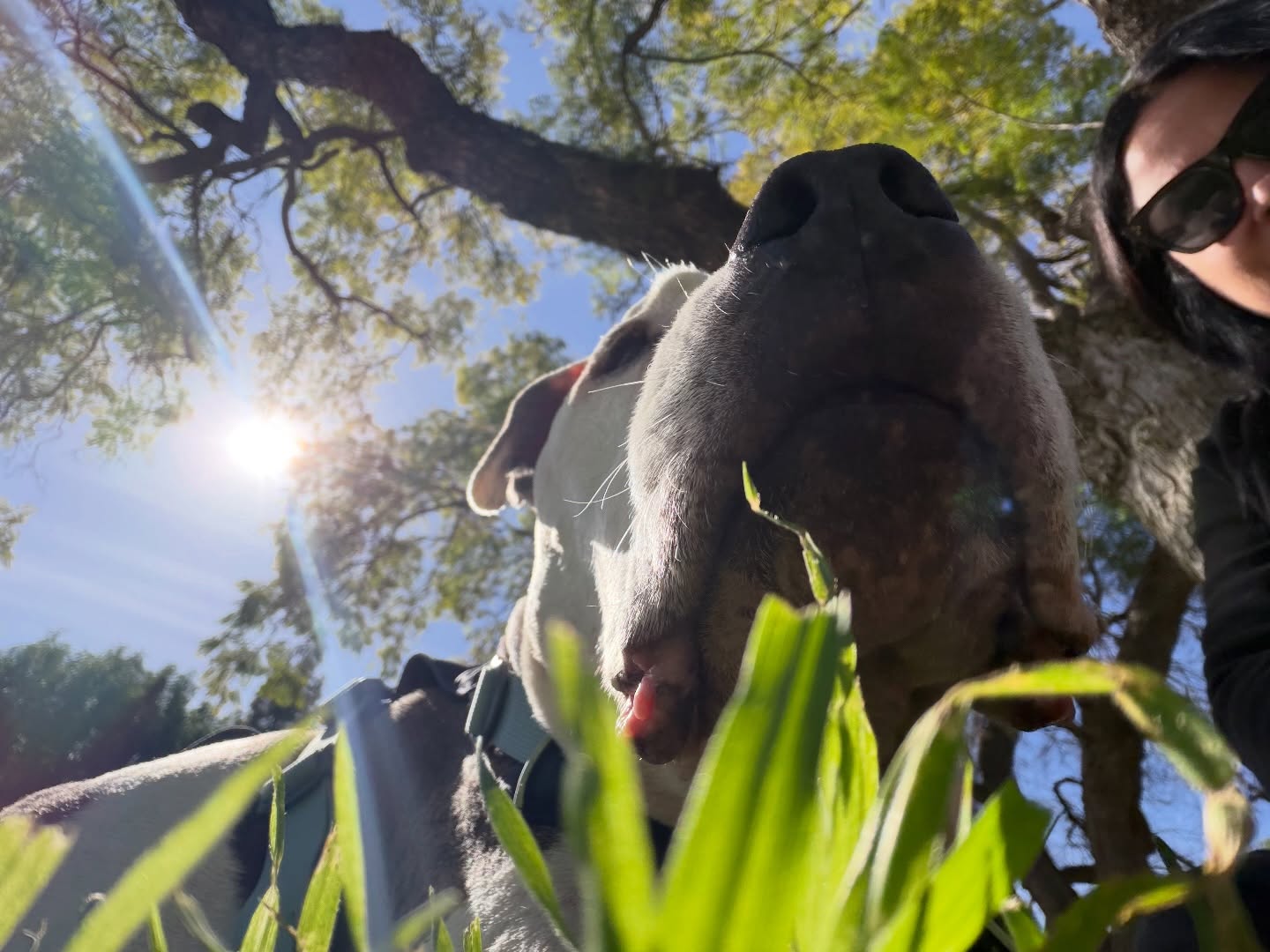 Hanging with my best big dude