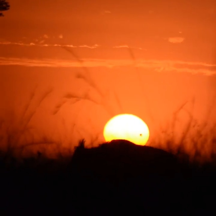 Glorious Sunset
#expedition #exploreourearth #serengeti #wildlife #traveltogether #exploreourearth #planetearth
