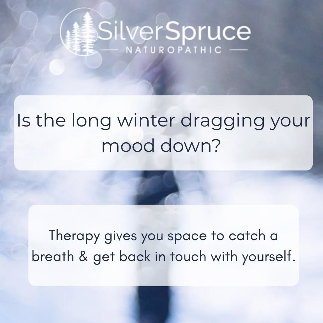 If the long and cold winter is making you blue, you are not alone. Seasonal changes can shift our moods and make us feel down.
Psychotherapy can help. Our talented team of mental health practitioners are here for you.
Book with Vitina, Diba and Dr. Jody and start getting support.
905-554-5599
contact@silverspruce.ca
#mentalhealth #psychotherapy #coldwinterblues #loveyourselffirst oi