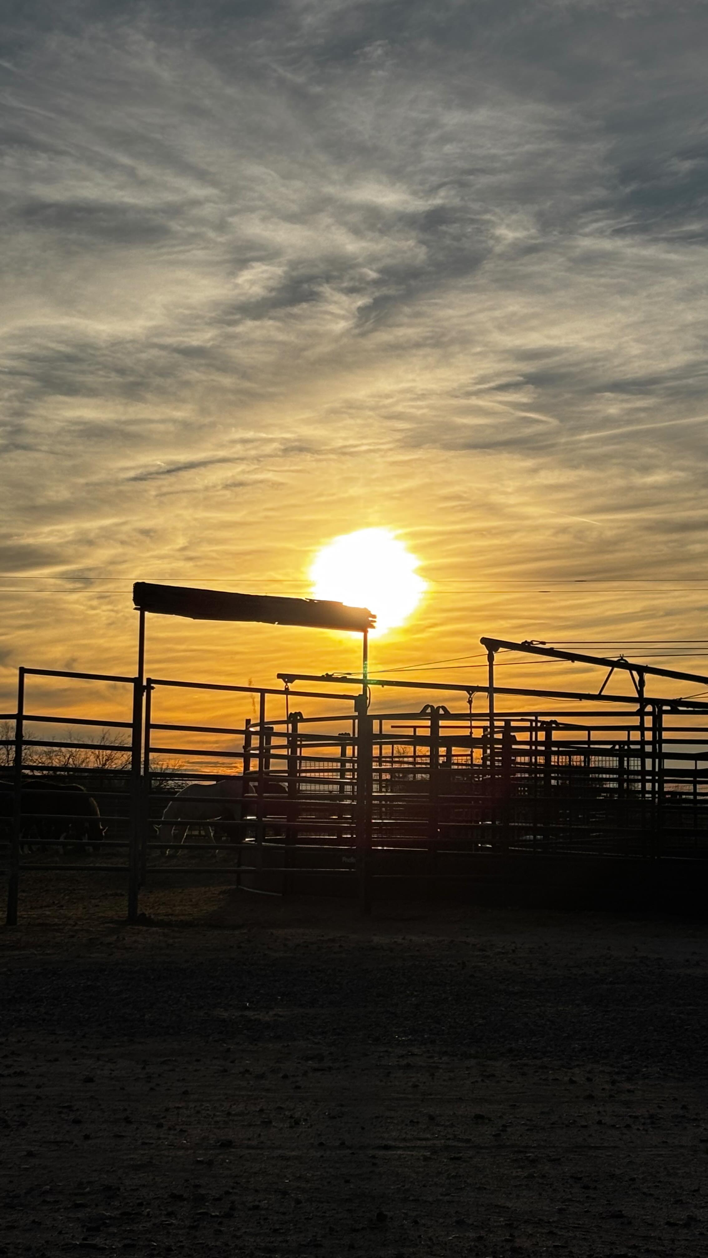 Isn’t it funny how many of the quote unquote flaws we had as children, often become our biggest strengths??
•
While this is mostly meant as a joke, I will say I’m glad that little girl continued to:
- Take up space
- Be Strong-willed
- Speak up
- Be Stubborn
As those qualities have helped me push past barriers set in my way as well as helped me to keep trucking forward even if I am uncertain.
•
Keep taking up space. Keep using your voice. Keep working towards that goal.
#horse #education #speaker #inspiration #stableinstincts