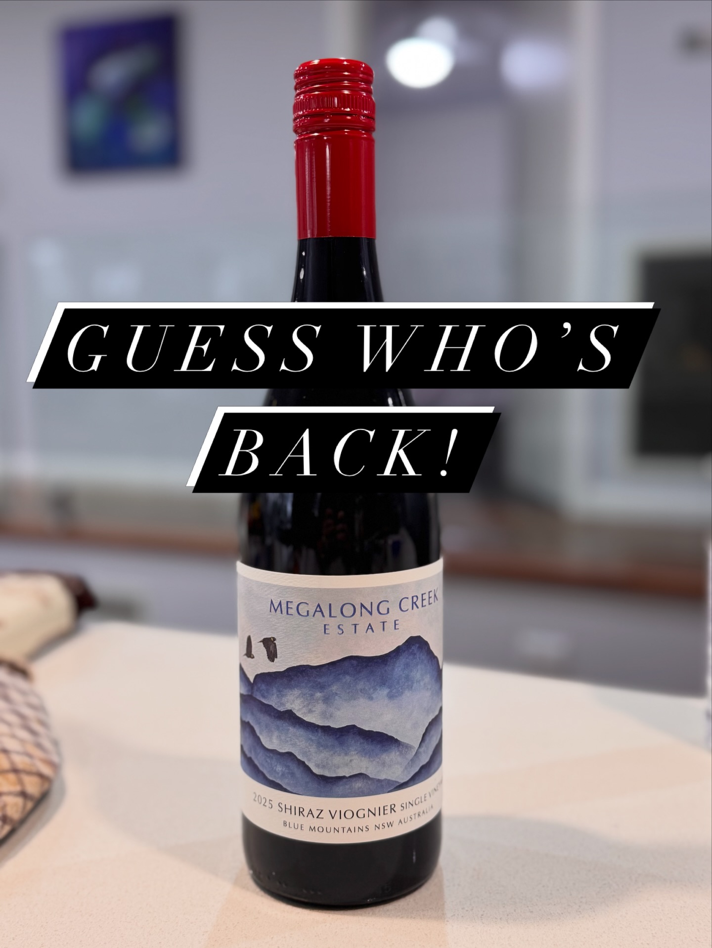 Double excitement! NEW wine release and NEW fresh label! Back by popular demand, our MCE Shiraz Viognier has returned. Drop into the cellar door to pick up a bottle. Cellar door open Saturday and Sunday from 12pm. New label artwork by the talented @artagnanstudios (story to come). #megalongcreekestate #bluemountainsnsw #thebluemountainswine #singlevineyard #winetourism