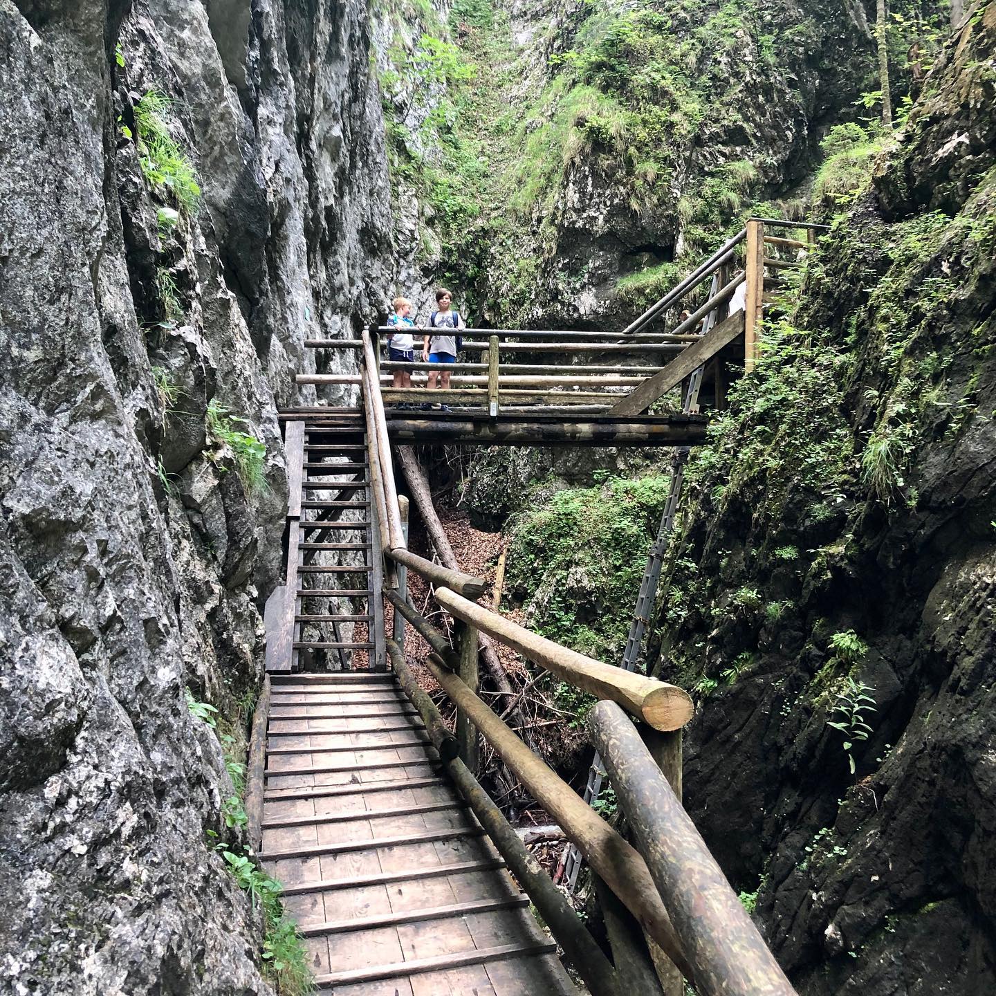 Zuhause ist es doch am Schönsten!
Ausflug in die #drvogelgesangklamm in #spitalampyhrn in der #pyhrnprielregion
Das ist #familytime #naturpur #urlaub und #auszeit in #oberösterreich