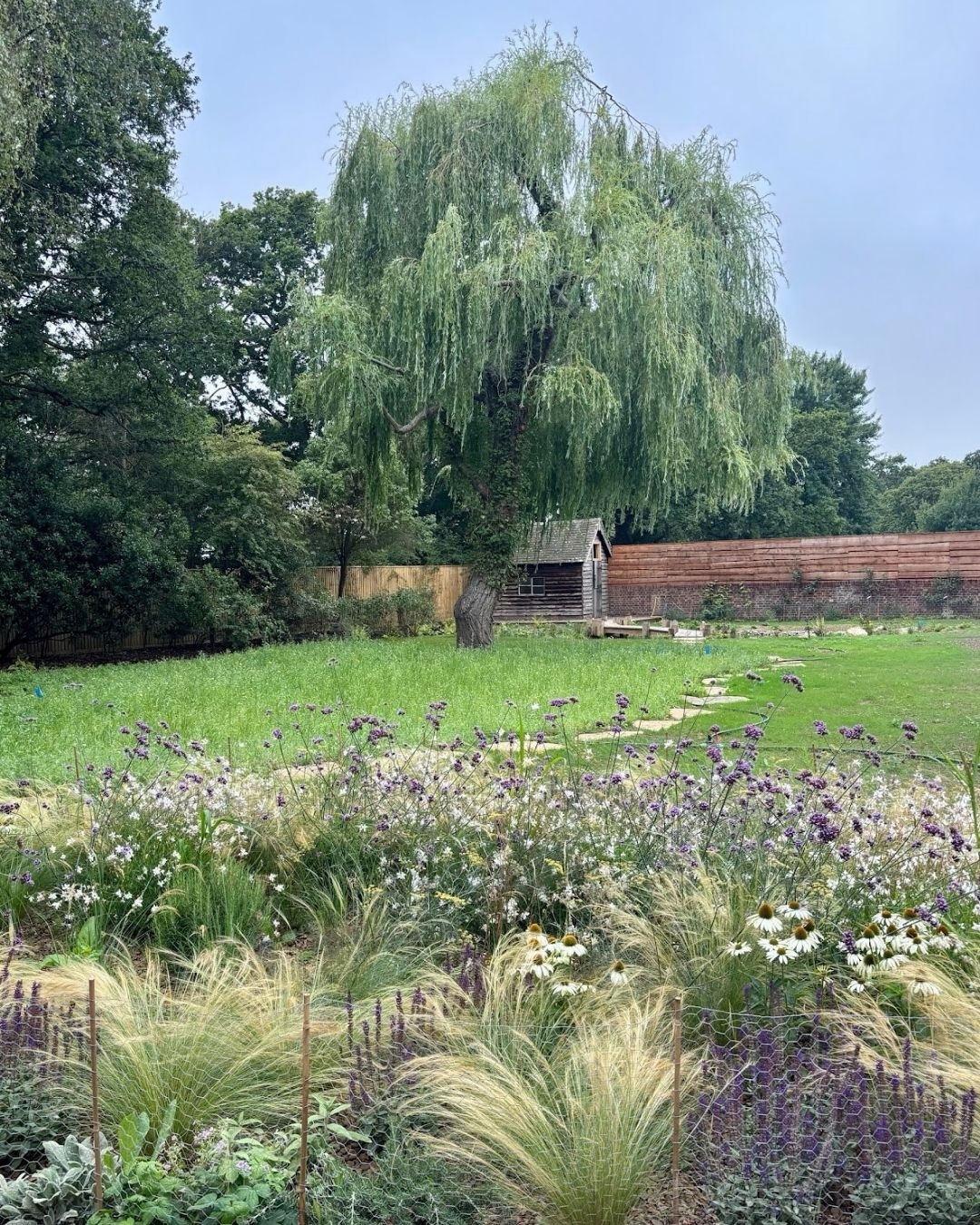 Working on this coastal wildlife garden in West Sussex has been a reminder of how much place shapes design. From the beginning we responded to the salt laden winds, sandy soils and open horizons, choosing plants that could thrive with resilience and form a landscape that feels rooted in its context.
Now, nearly a year on from planting, the garden will have settled into itself, the framework softening and the planting knitting together in a way that feels both natural and assured.
The palette is shaped by both function and beauty. Grasses and structural perennials help to shelter more tender species. Tough flowering plants bring colour and movement across the seasons. Each choice supports ecology, reduces maintenance and strengthens the garden’s relationship with its coastal surroundings.
This is not a space that seeks to resist its environment, but one that works with it. By understanding wind, light and soil, we have created a garden that feels at ease in its setting, open to the elements yet grounded and enduring.
Planted by and maintained by the fantastic @bn1_planting and @seb.stall we’re really excited to seeing this one develops!
⸻
ABOUT: Joe Perkins Design is a multi-award-winning landscape design consultancy, creating innovative outdoor spaces that celebrate the environment, wildlife, and biodiversity. Working across the UK and internationally, we partner with clients who share our passion for sustainable and visionary design. Discover more about our work at: www.joeperkinsdesign.com