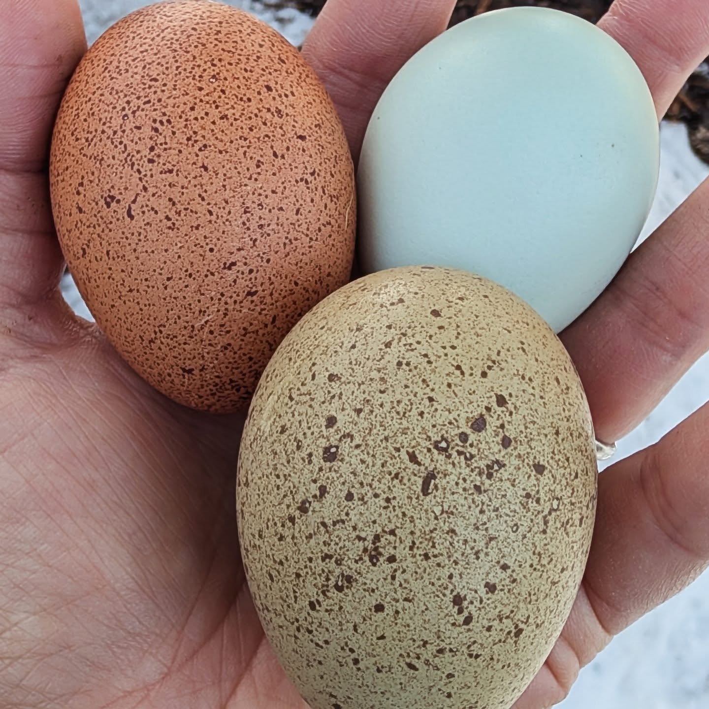 The speckles are speckling today