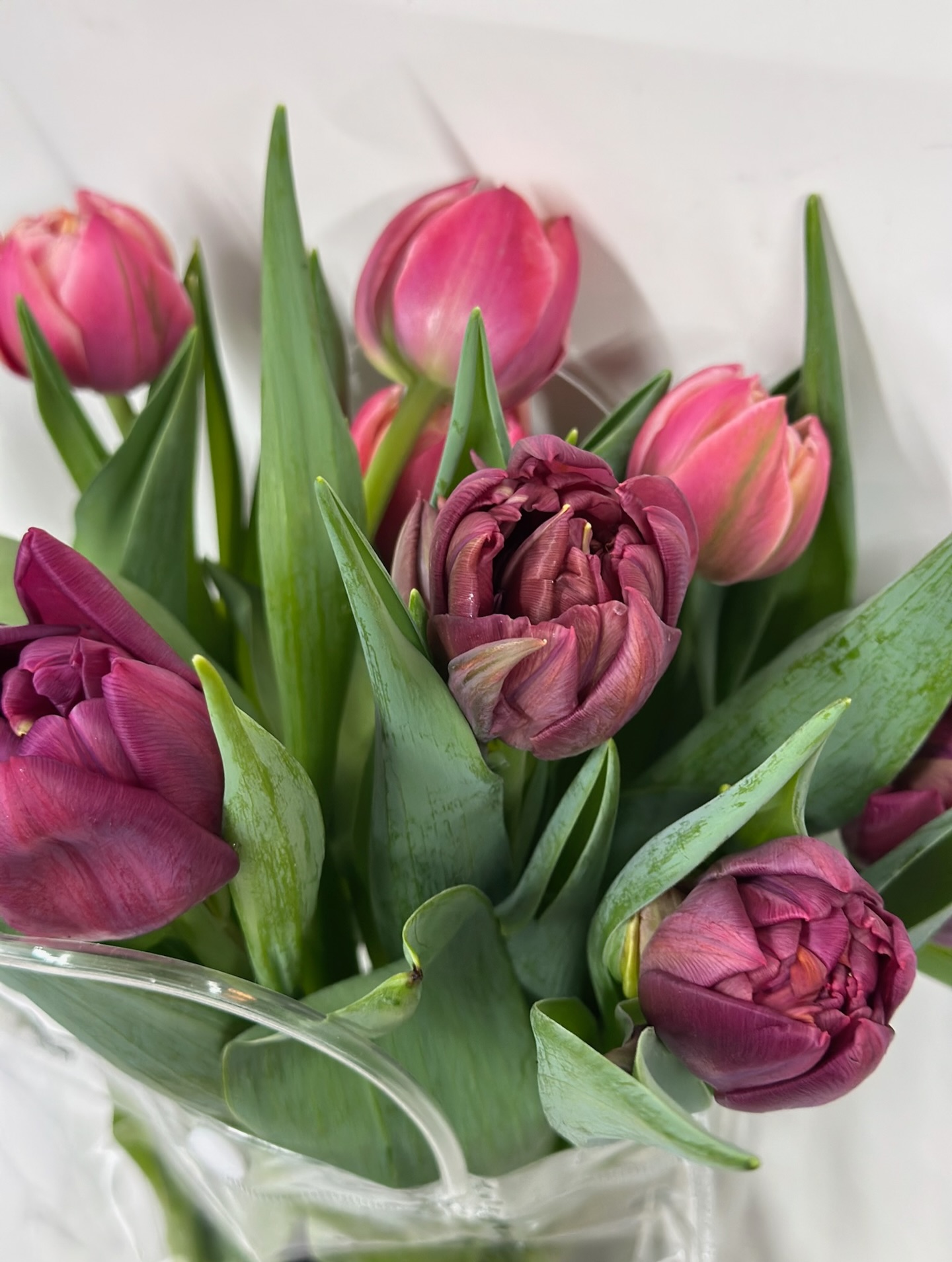 Un peu plus tranquilles sur les réseaux ces temps-ci…
On travaille très fort en coulisses sur notre collection de printemps 🤭
Le retour d’un ancien favori, quelques belles nouveautés, un concours… mais surtout, beaucoup (beaucoup !) de bonheur à venir.
On a tellement hâte de vous dévoiler tout ça 🌸✨