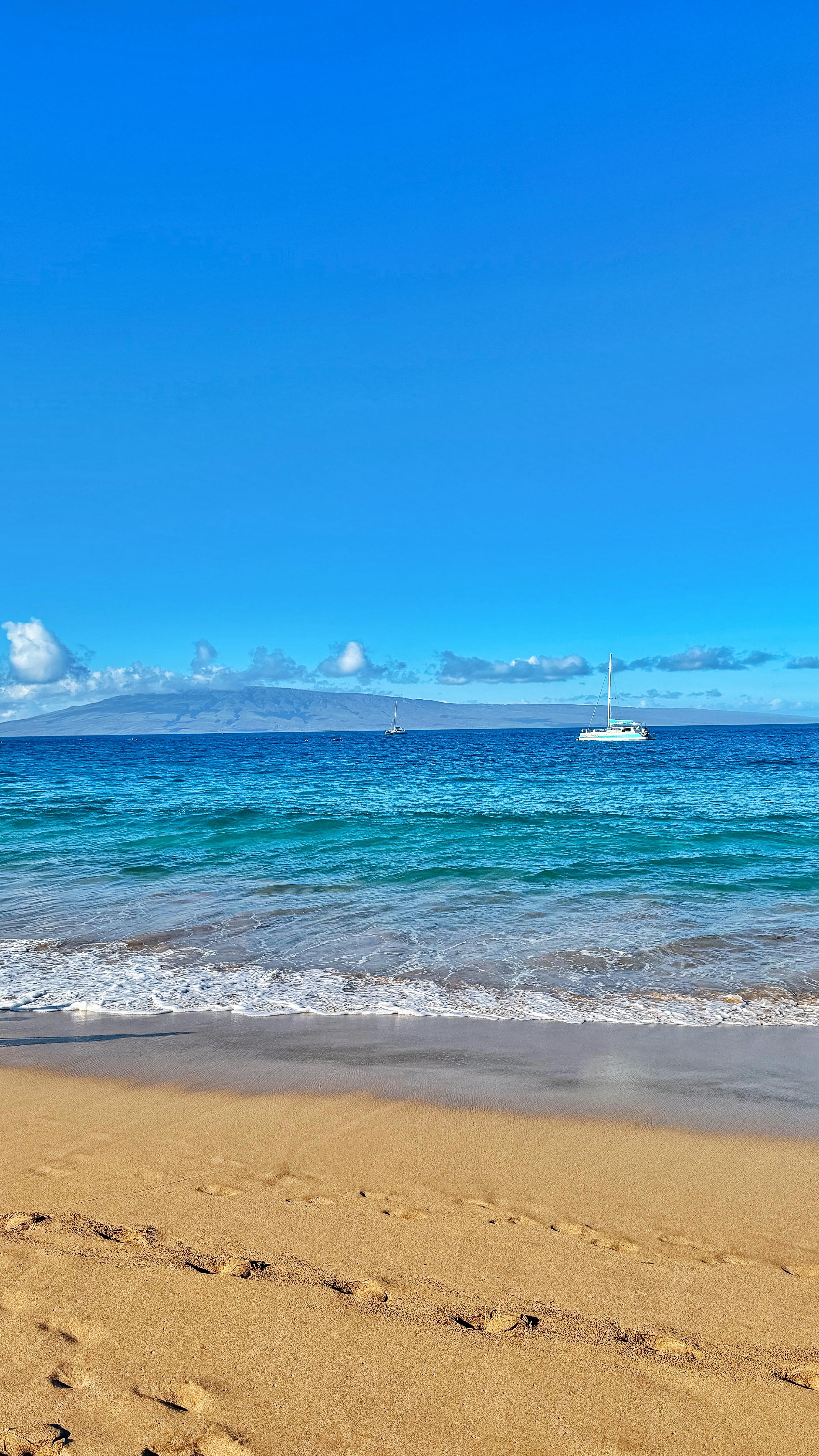 One of the highlights of our trip to Maui was getting to see whales! 🐋
We didn’t even have to take a whale-watching expedition, you could see them right from shore! Whale watching season in Hawaii spans from December to April and while we could also see them literally from the car just driving through west and south Maui, this video was taken from our poolside cabana at the @sheratonmaui.
It’s the playful spout at the end for me! 🐳