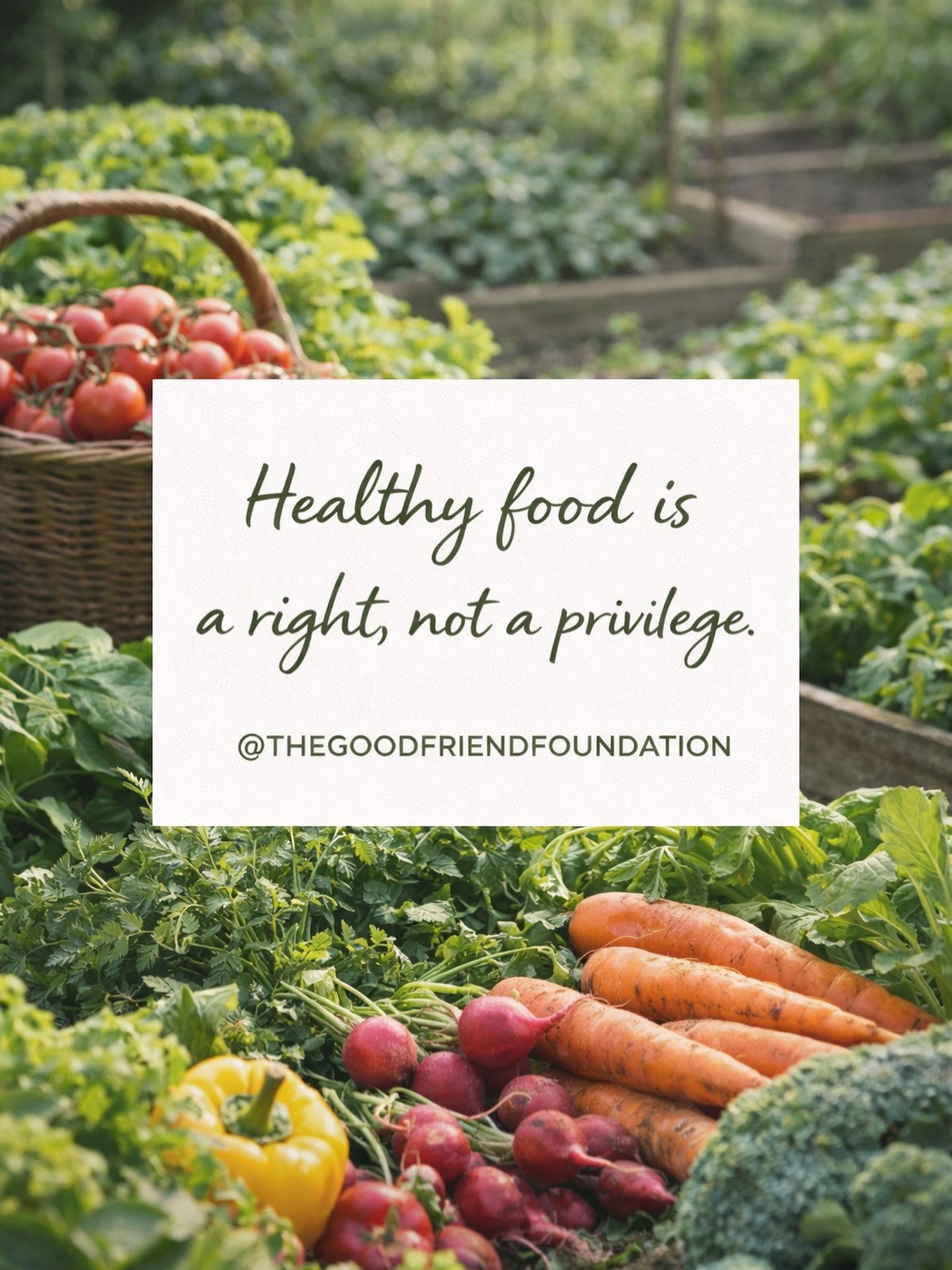 Healthy food is a right, not a privilege.
La alimentación sana es un derecho, no un privilegio.