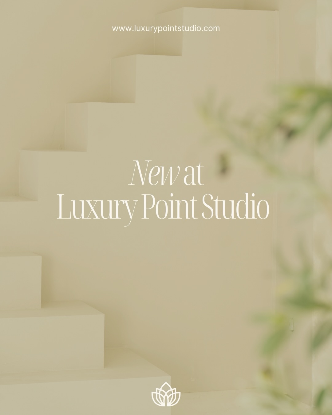 This is not AI 😍 Introducing our new permanent install ✨ What are your thoughts?
This has been a long time vision of ours; some of you may remember the baby stairs we had roughly a year and half ago. That was a tester for what we really wanted!
We are so proud of our friends at @bkc.builders for building this exactly how we designed it!! Huge shout out to our stucco and painter Castro for cleaning up and finishing it to perrrfection! And finally, shout out to YOU for voting on this color from @behrpaint ! It’s giving Morocco in Jacksonville 😍 What will you be shooting on this wall?!
Photos by owner @feliciavphoto
#jacksonville #jacksonvillestudio