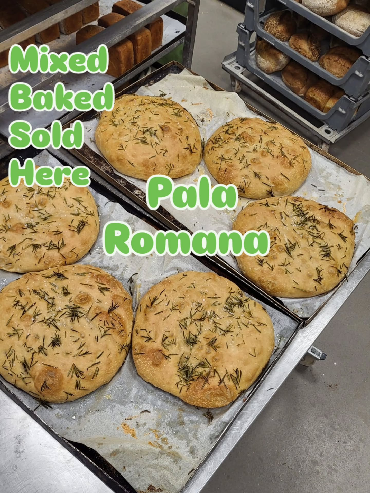 Pala Romana is a versatile, high-hydration bread served with rosemary and sea salt, it is crispy on the outside, light, and airy on the inside. #artisanbakery #suportlocal #familybakery #indepentantbakery #palaromana